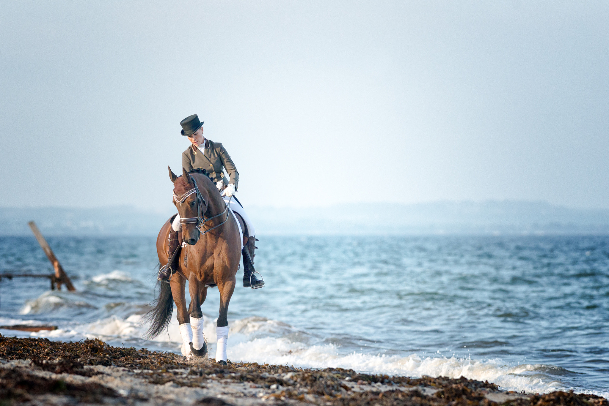 Nikon AF-S Nikkor 300mm F2.8G ED VR II sample photo. Equinelife photography