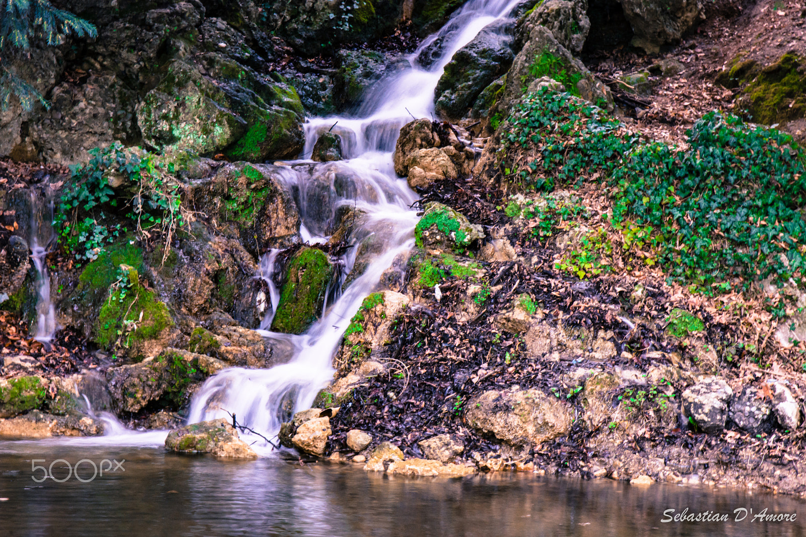 Sigma 17-70mm F2.8-4 DC Macro OS HSM | C sample photo. Rivolo photography
