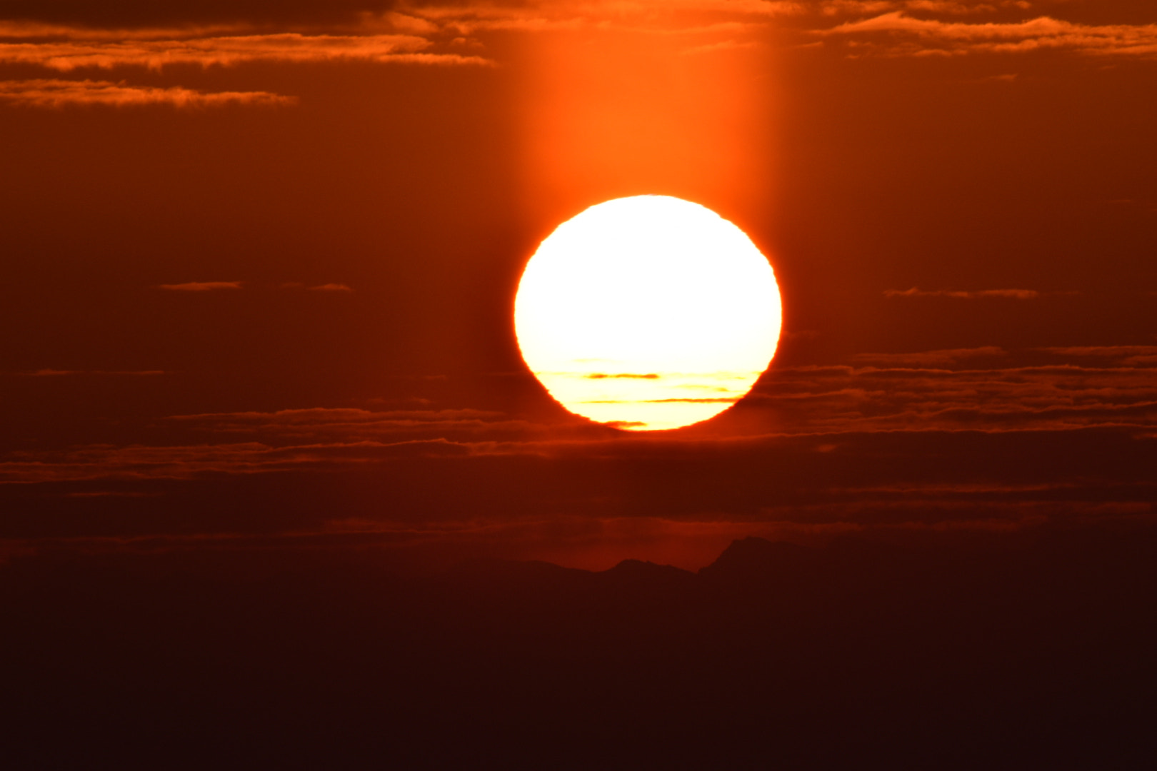 Sigma 150-600mm F5-6.3 DG OS HSM | C sample photo. Good morning world photography