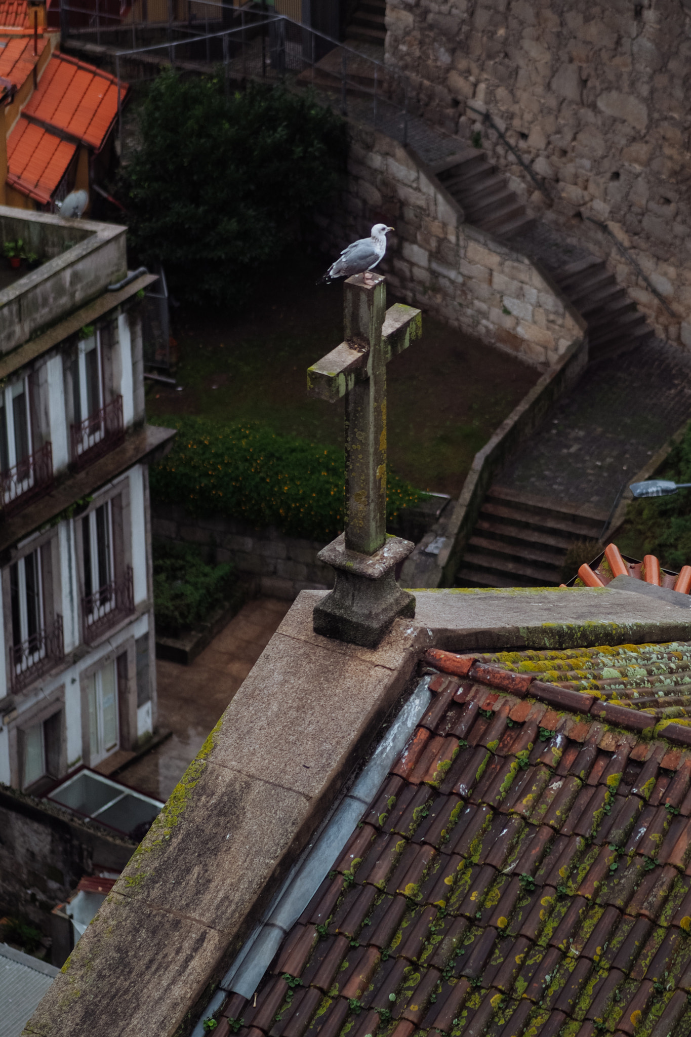 Olympus OM-D E-M5 + Olympus M.Zuiko Digital ED 75mm F1.8 sample photo. Porto rooftops photography