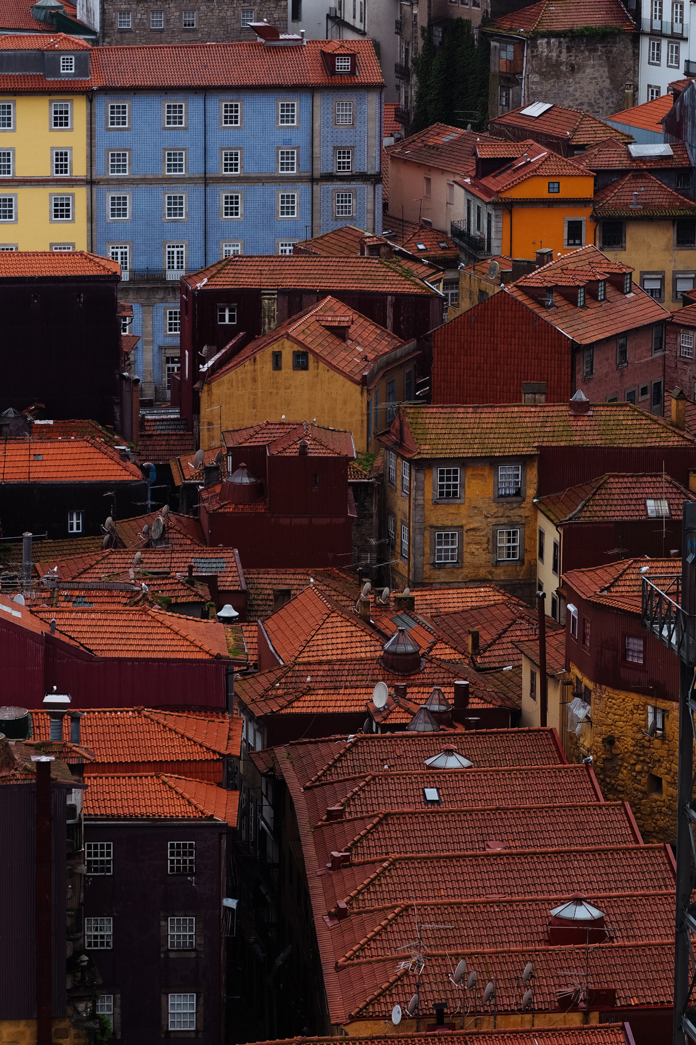 Olympus OM-D E-M5 + Olympus M.Zuiko Digital ED 75mm F1.8 sample photo. Porto rooftops photography