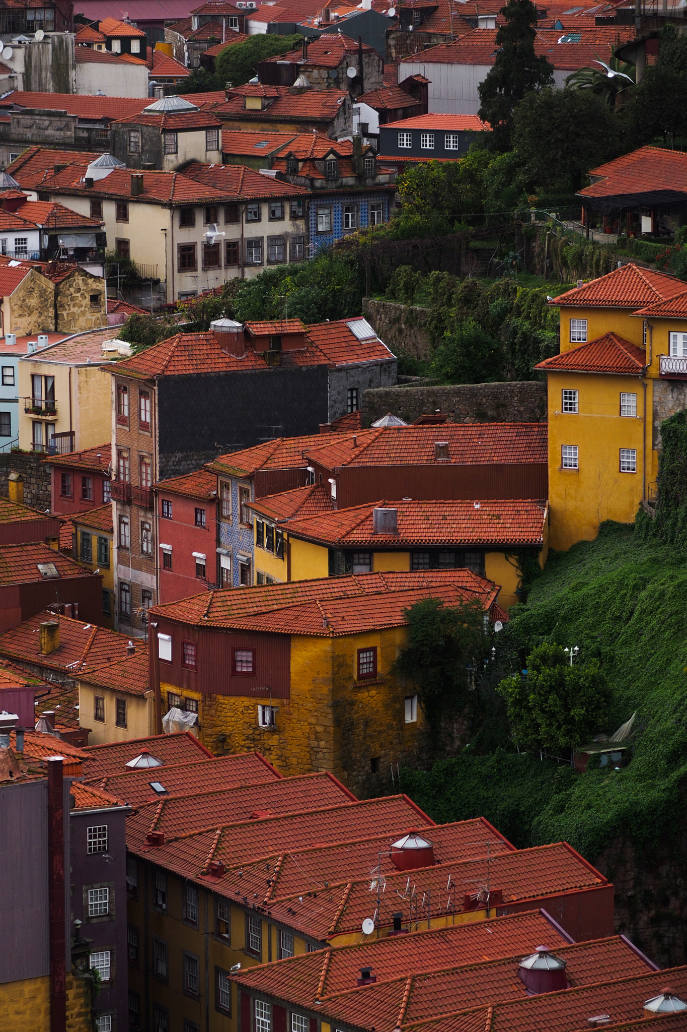Olympus OM-D E-M5 + Olympus M.Zuiko Digital ED 75mm F1.8 sample photo. Porto rooftops photography