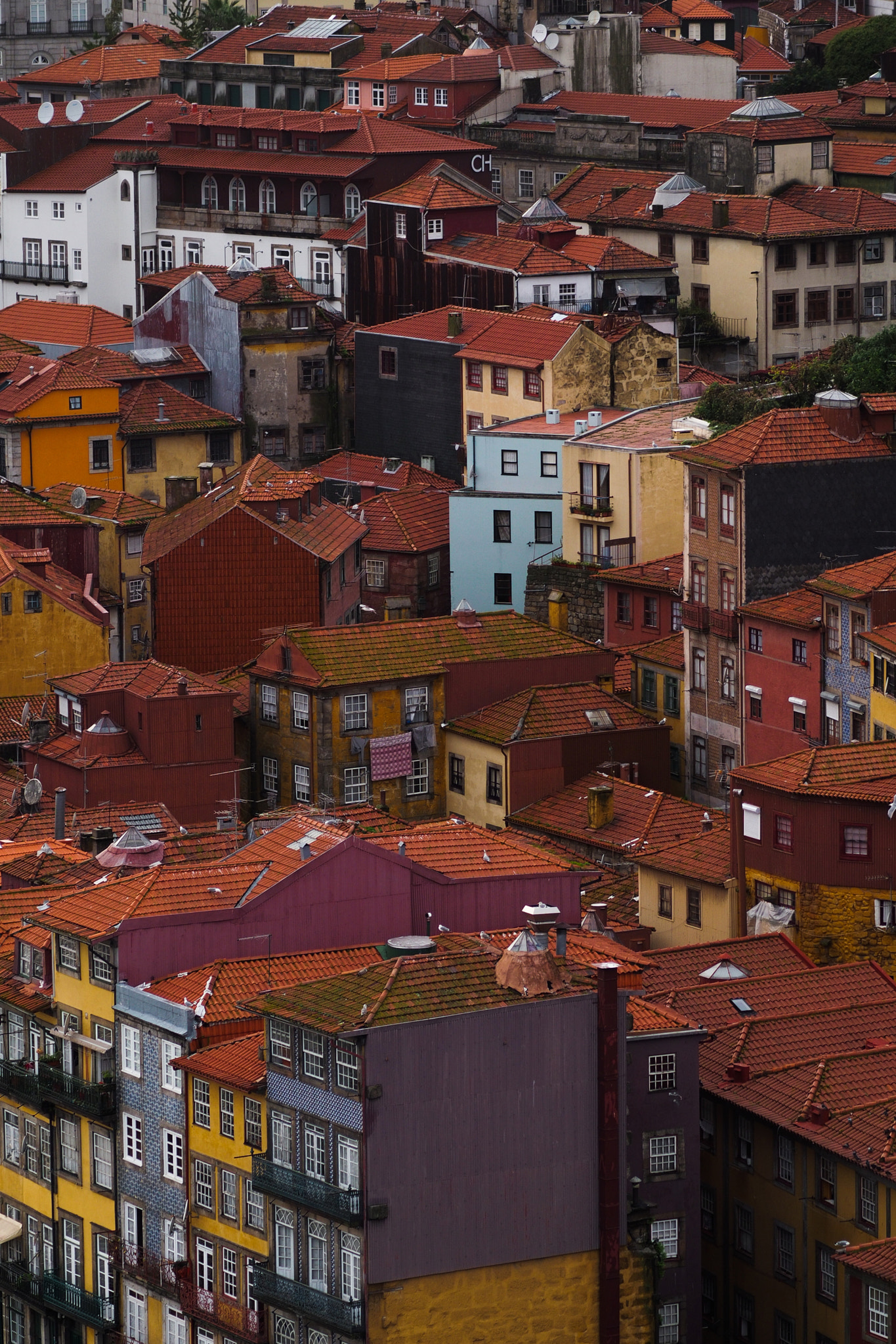 Olympus OM-D E-M5 + Olympus M.Zuiko Digital ED 75mm F1.8 sample photo. Porto rooftops photography
