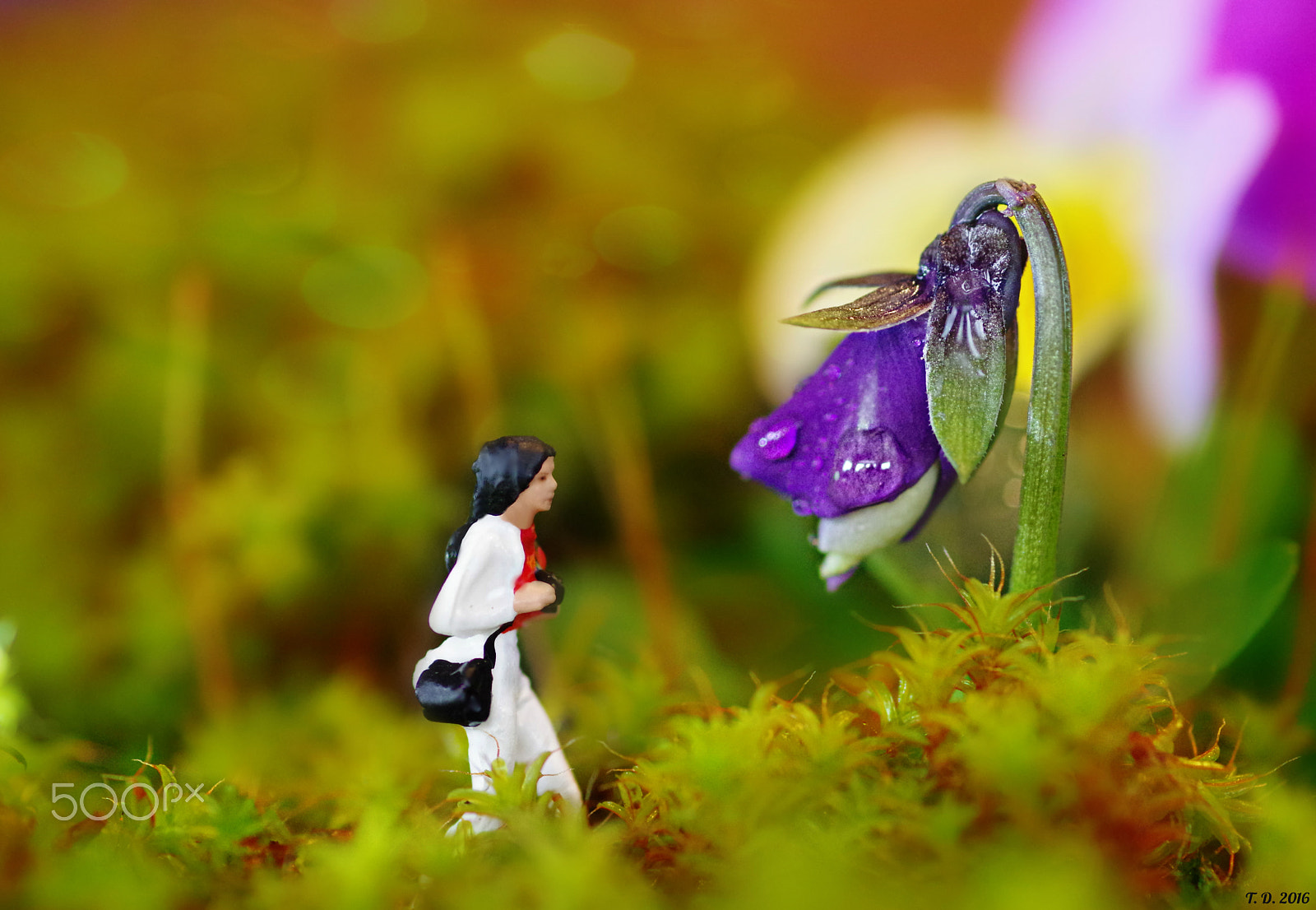 Pentax smc D-FA 100mm F2.8 macro sample photo. On tour ;-) photography