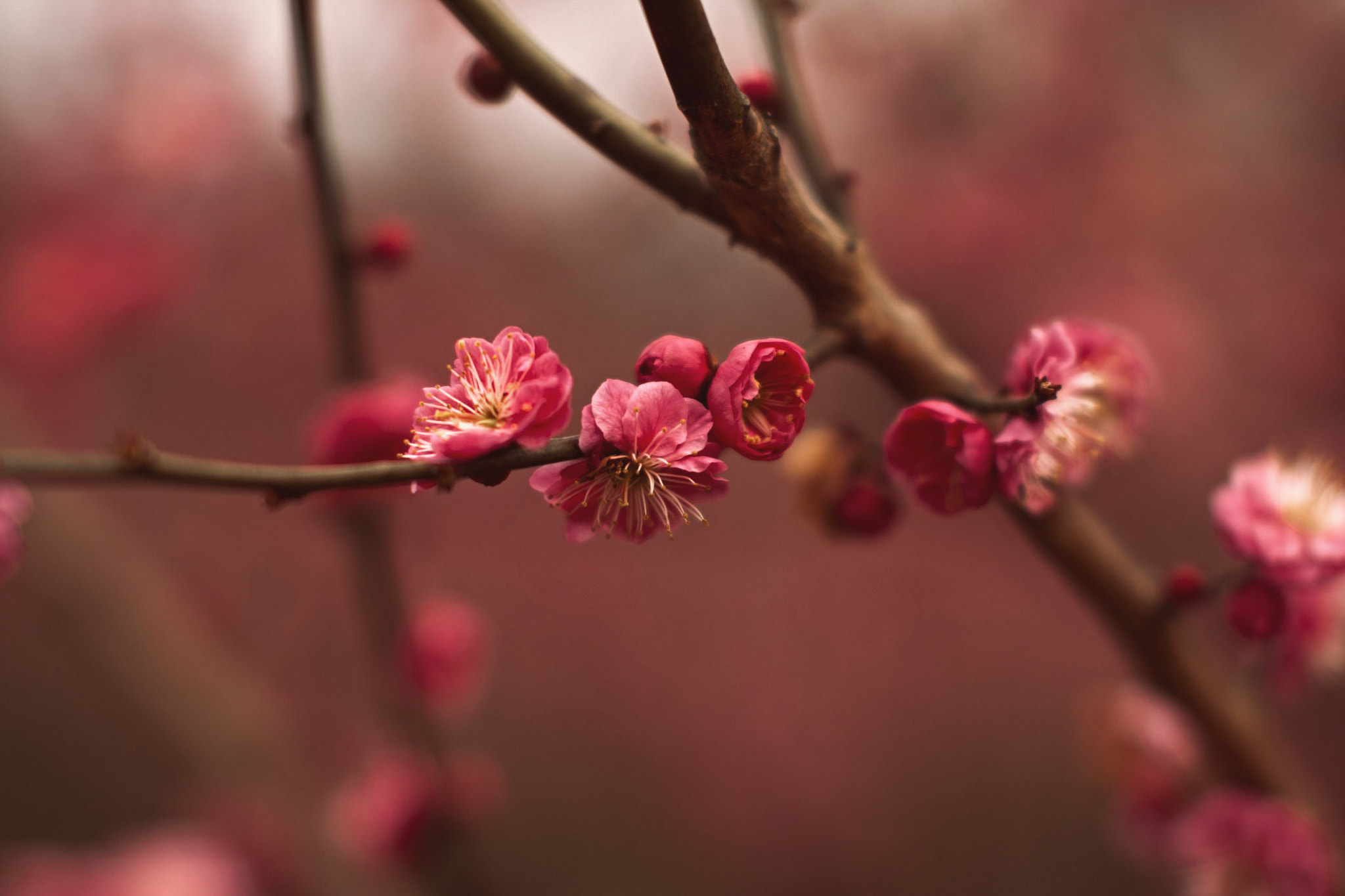 Sigma 50mm F1.4 EX DG HSM sample photo. * photography