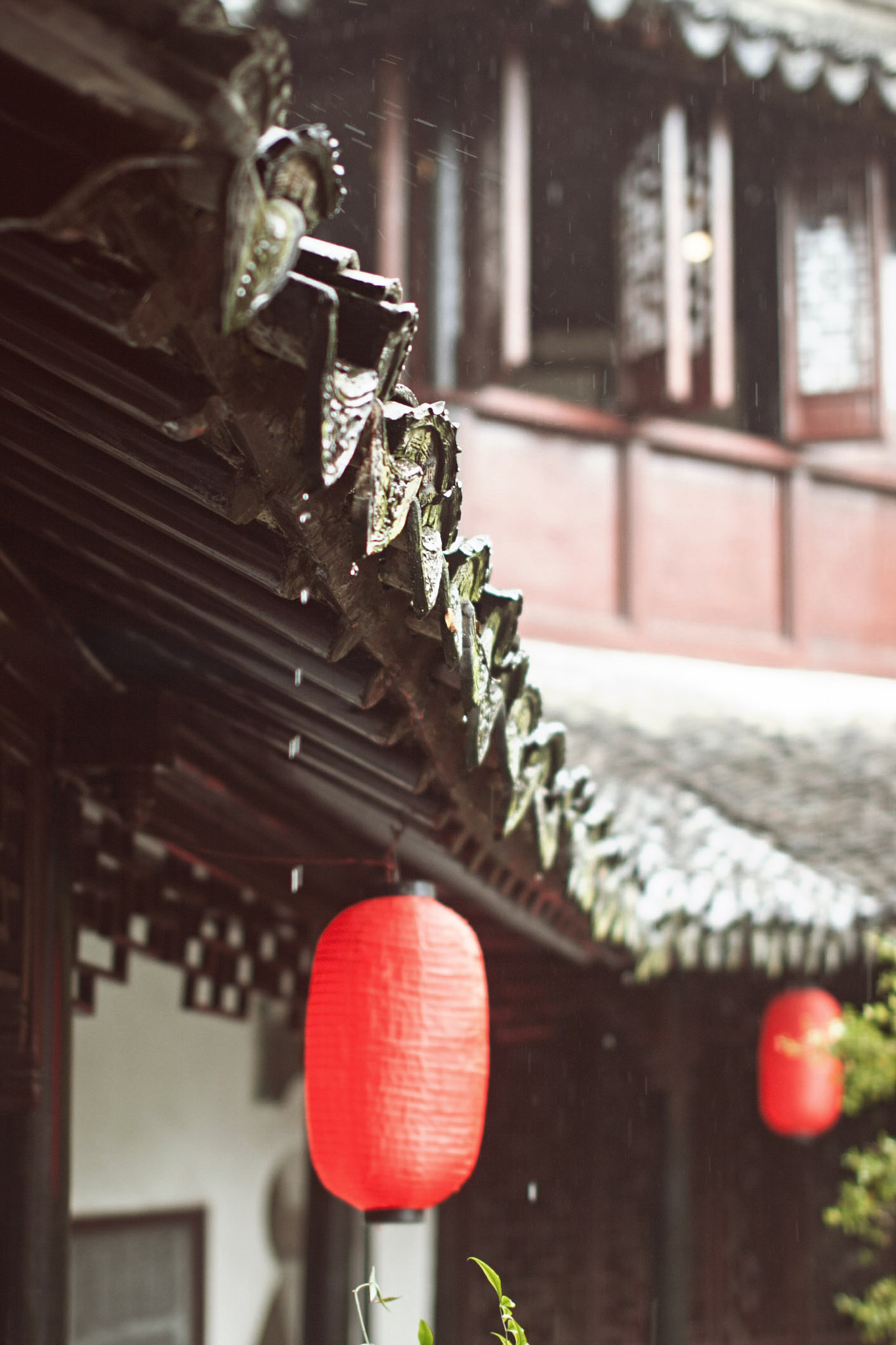 Sigma 50mm F1.4 EX DG HSM sample photo. * photography
