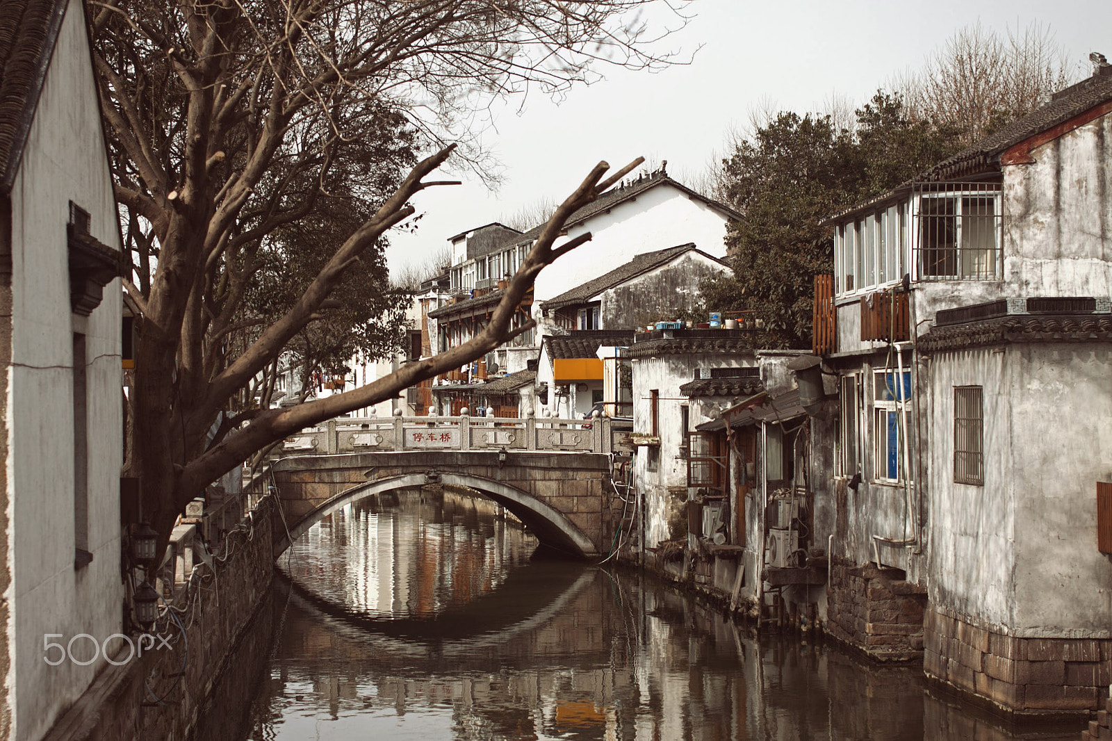 Sigma 50mm F1.4 EX DG HSM sample photo. * photography