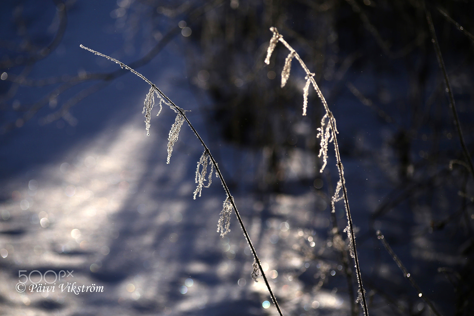 Sigma 50-200mm F4-5.6 DC OS HSM sample photo. Lights and shadows photography