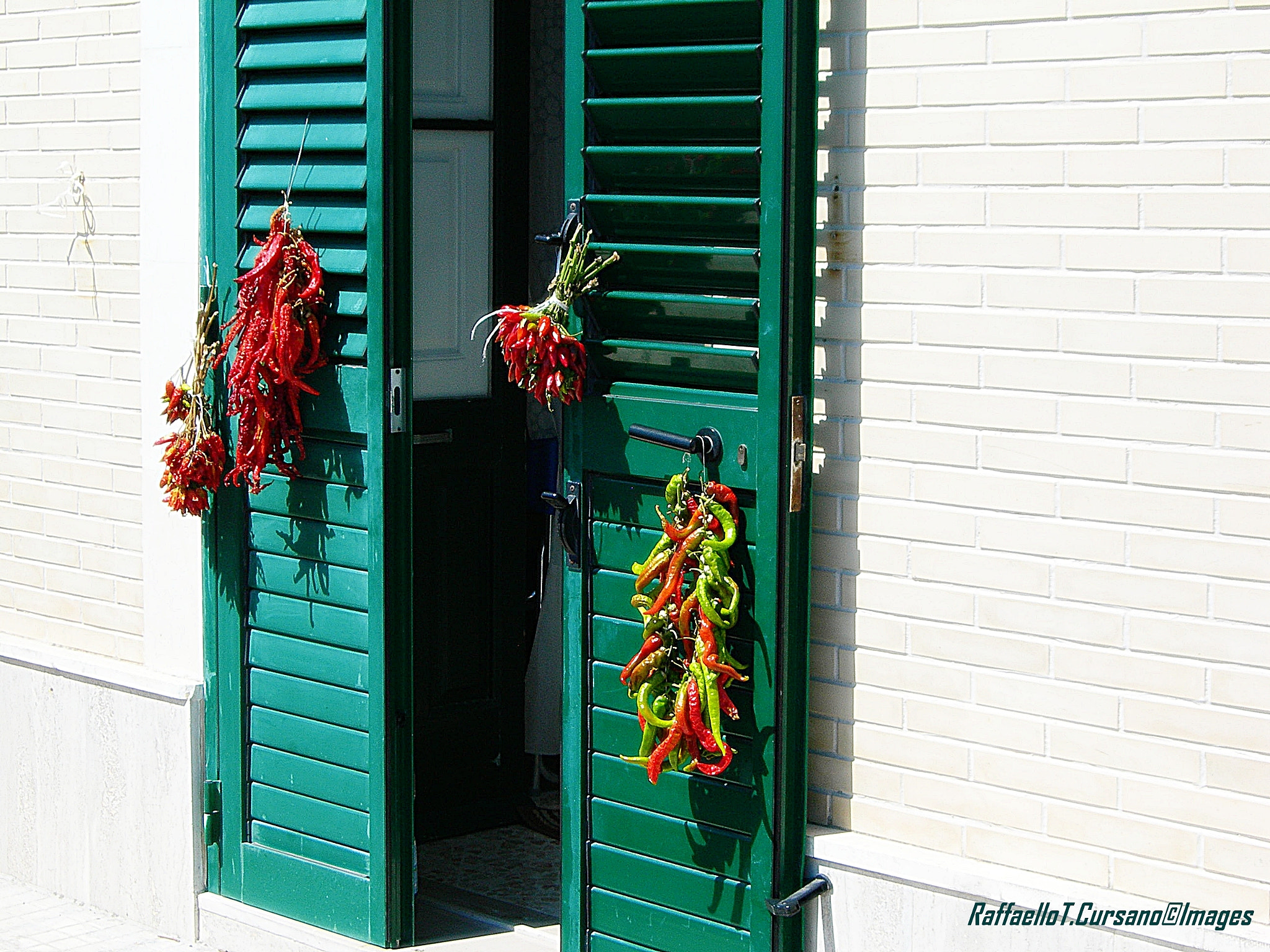 Nikon E7600 sample photo. Hot peppers by salento. photography
