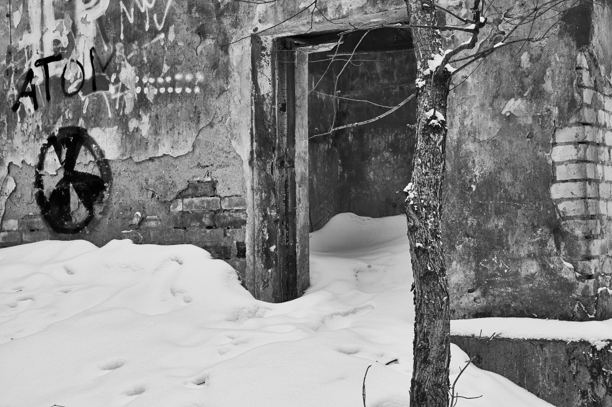 Sony SLT-A77 sample photo. Winter in the old park photography