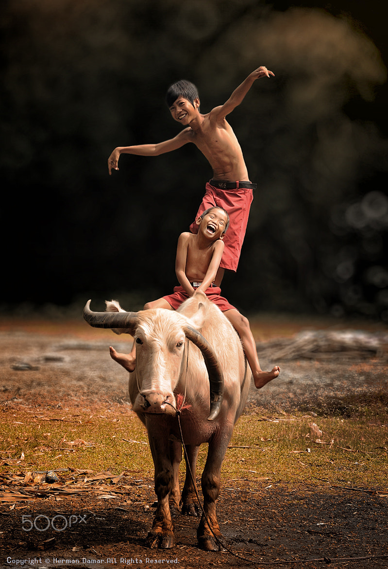 Herman Damar (chapter3d) Photos / 500px - 799 x 1170 jpeg 365kB