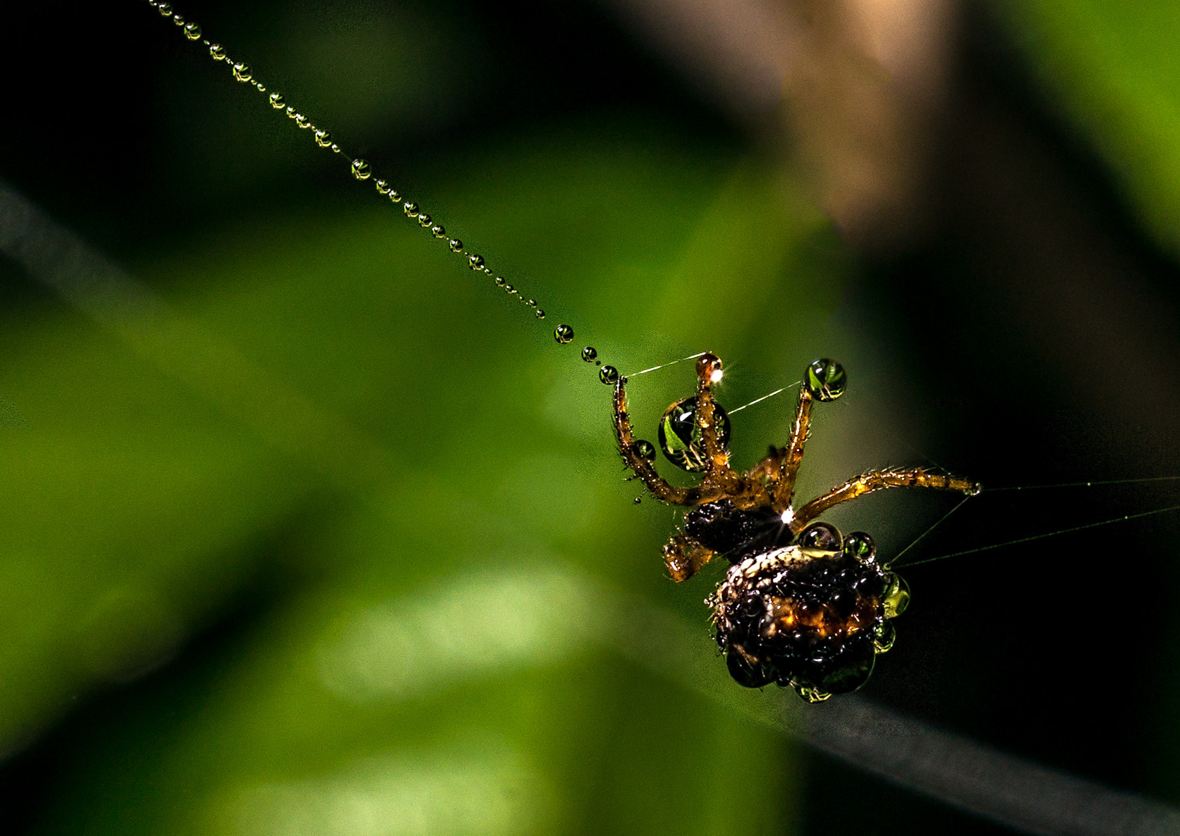 Sony Alpha NEX-6 + Sony E 30mm F3.5 Macro sample photo. Walking in the rain photography