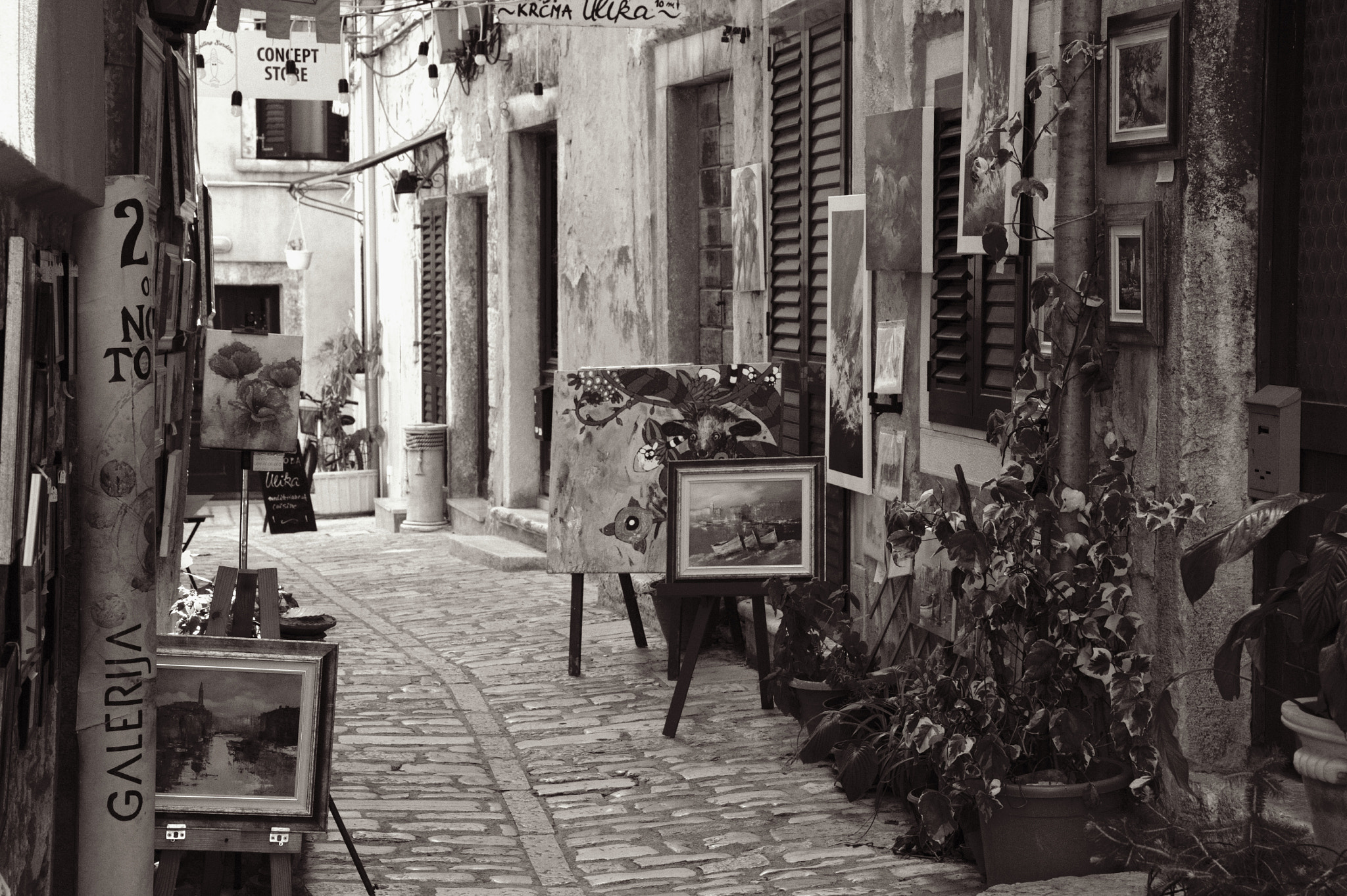 Canon EF-S 17-55mm F2.8 IS USM sample photo. Artists quarter in rovinj photography