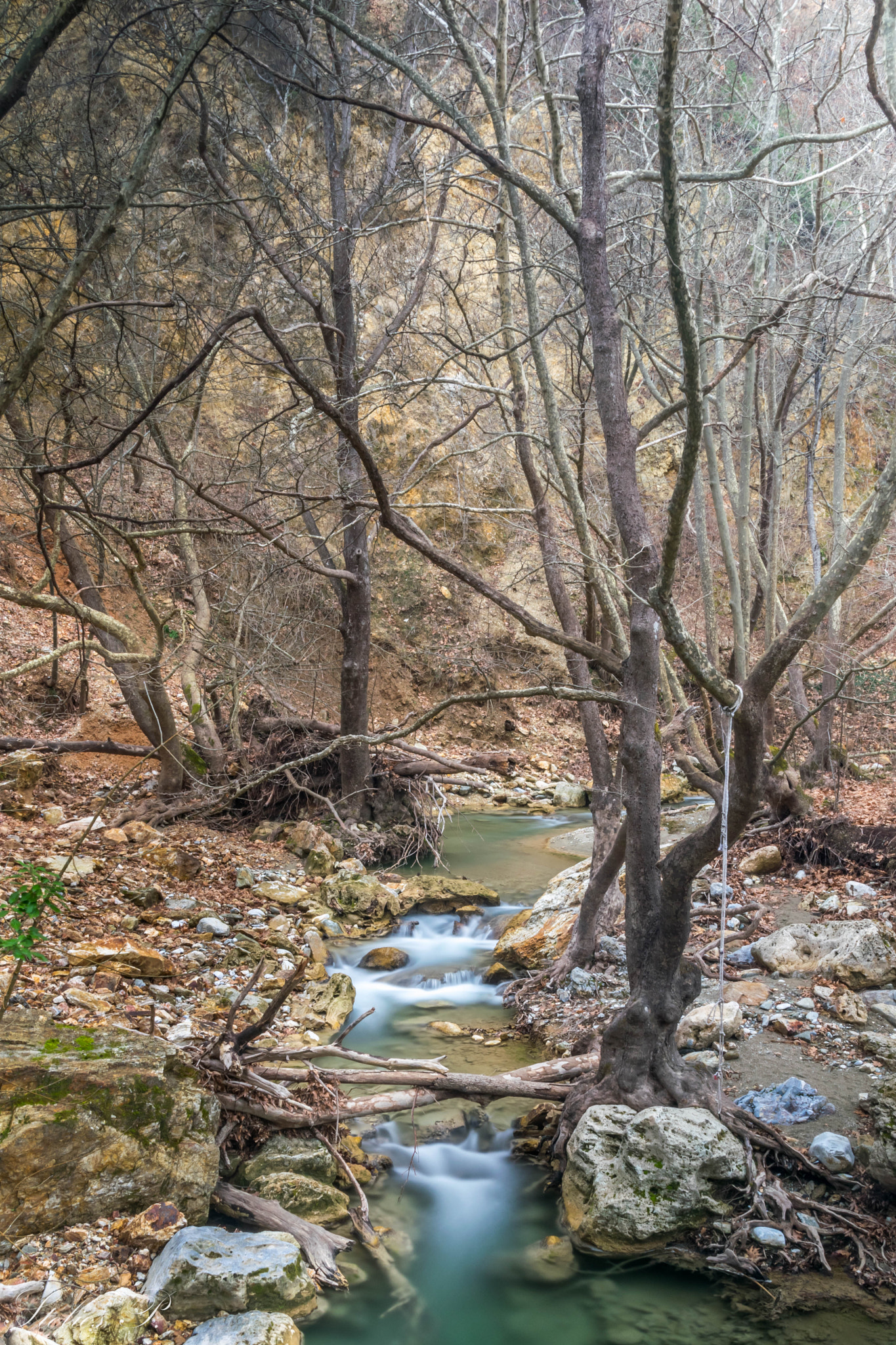 Sigma 18-200mm F3.5-6.3 DC OS HSM sample photo. River photography