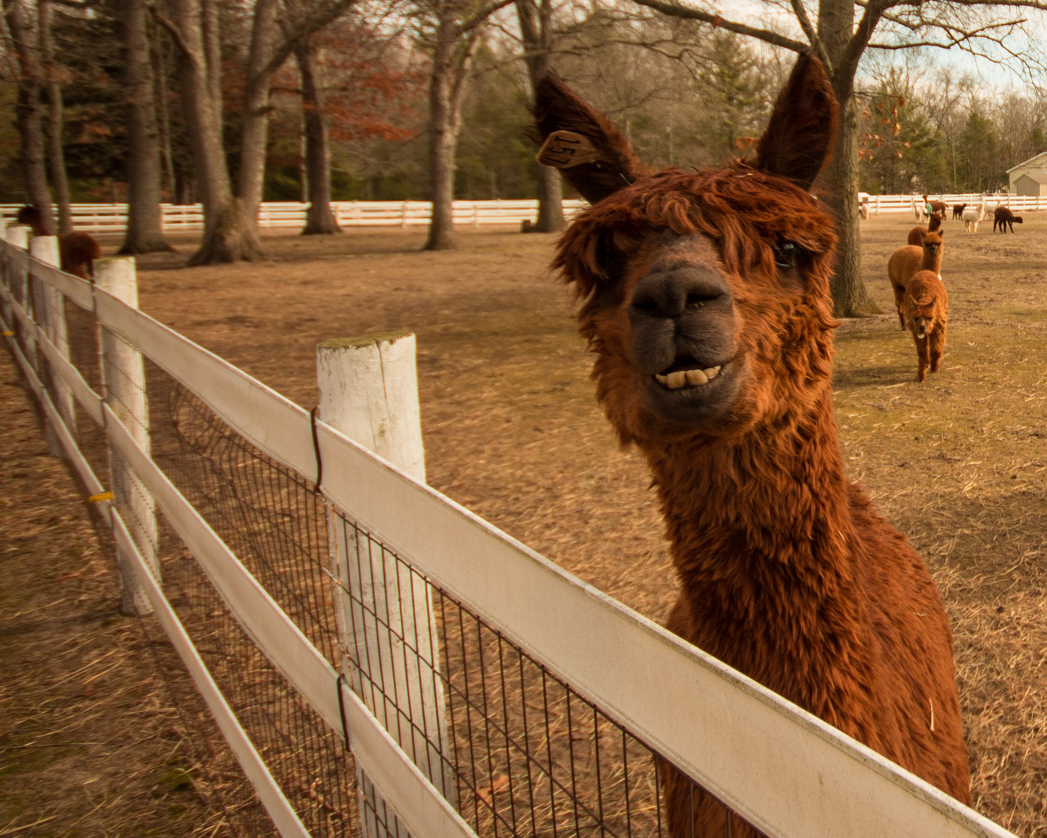 Sigma 10-20mm F4-5.6 EX DC HSM sample photo. Smile photography