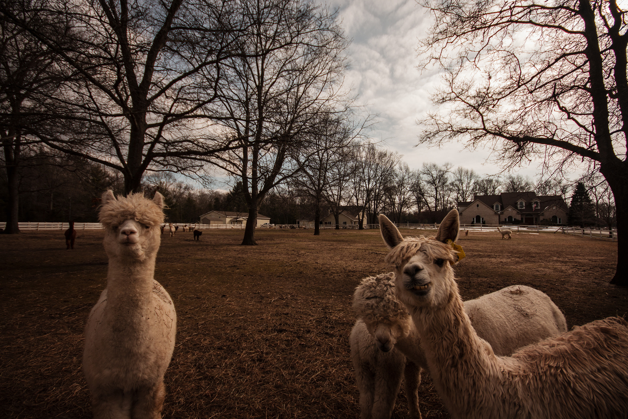 Sigma 10-20mm F4-5.6 EX DC HSM sample photo. The "guys" photography