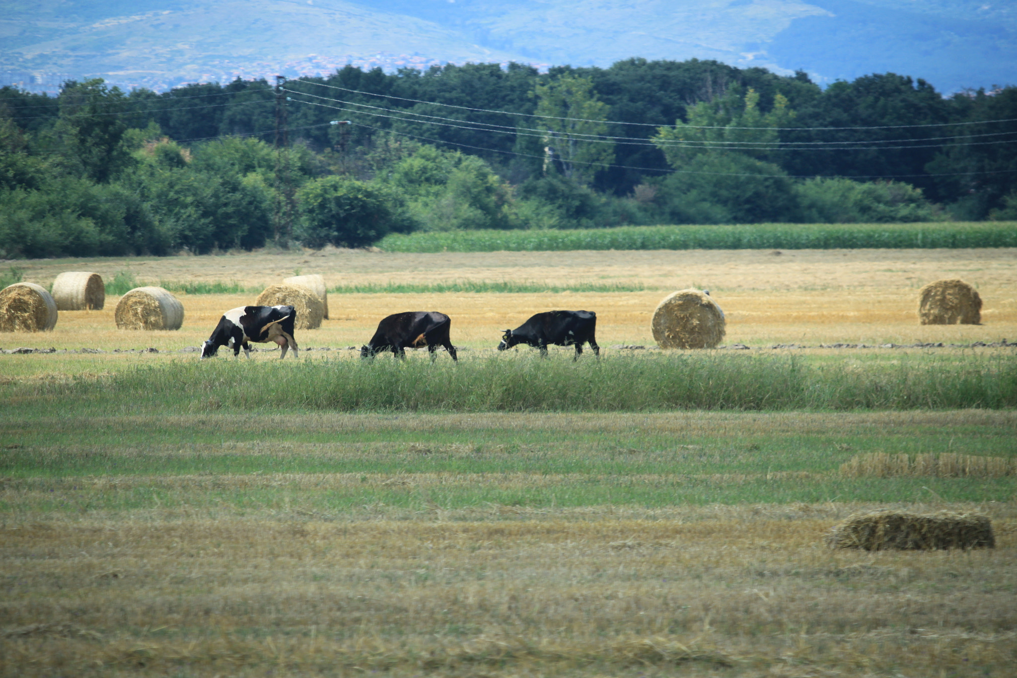 Canon EF-S 55-250mm F4-5.6 IS STM sample photo. Rural idyll photography