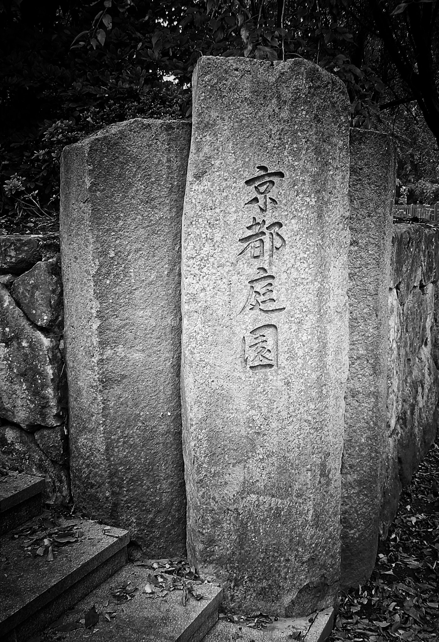DIGITAL CAM sample photo. Kyoto garden photography