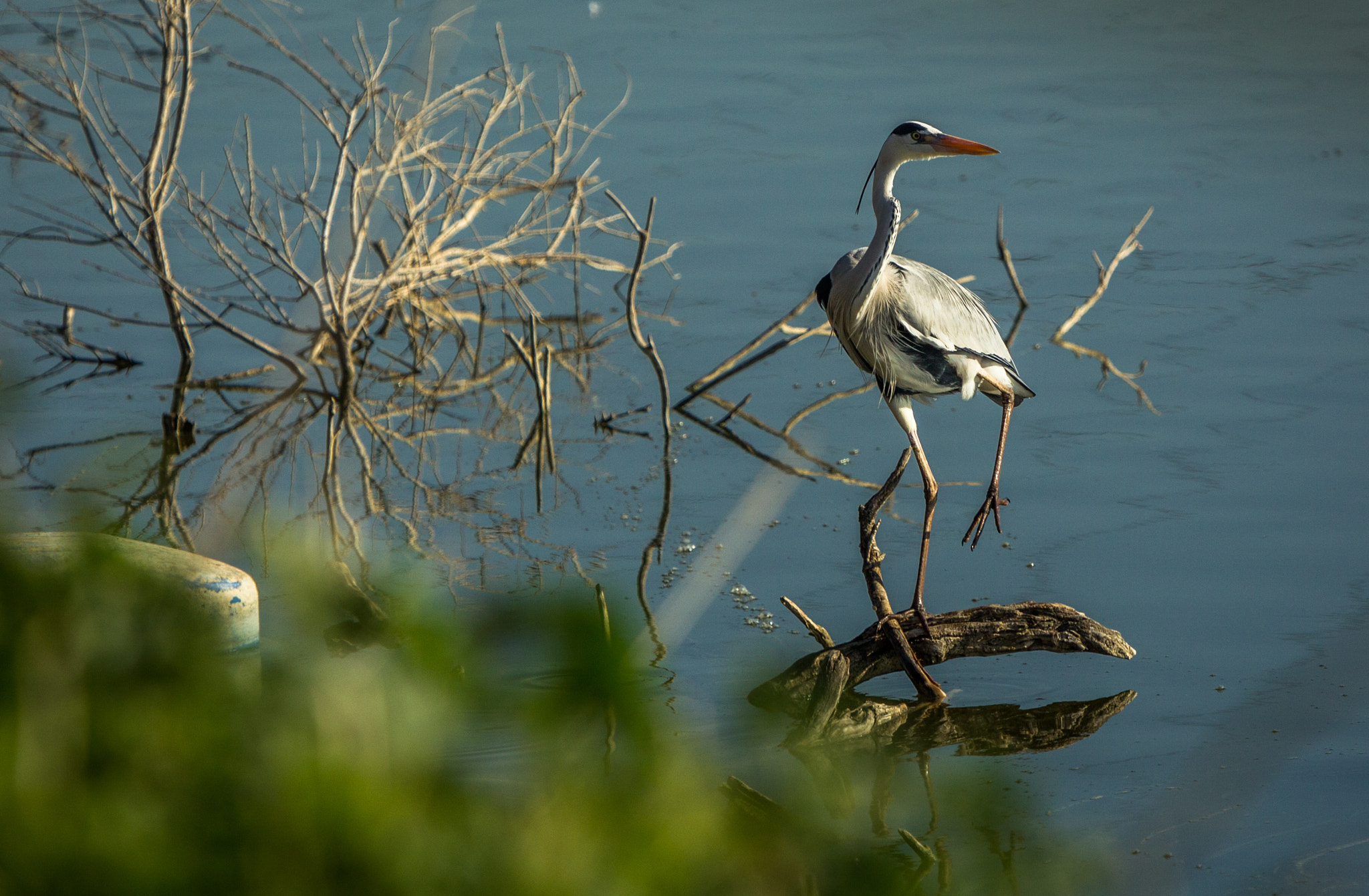 Canon EF 70-200mm F2.8L IS USM sample photo