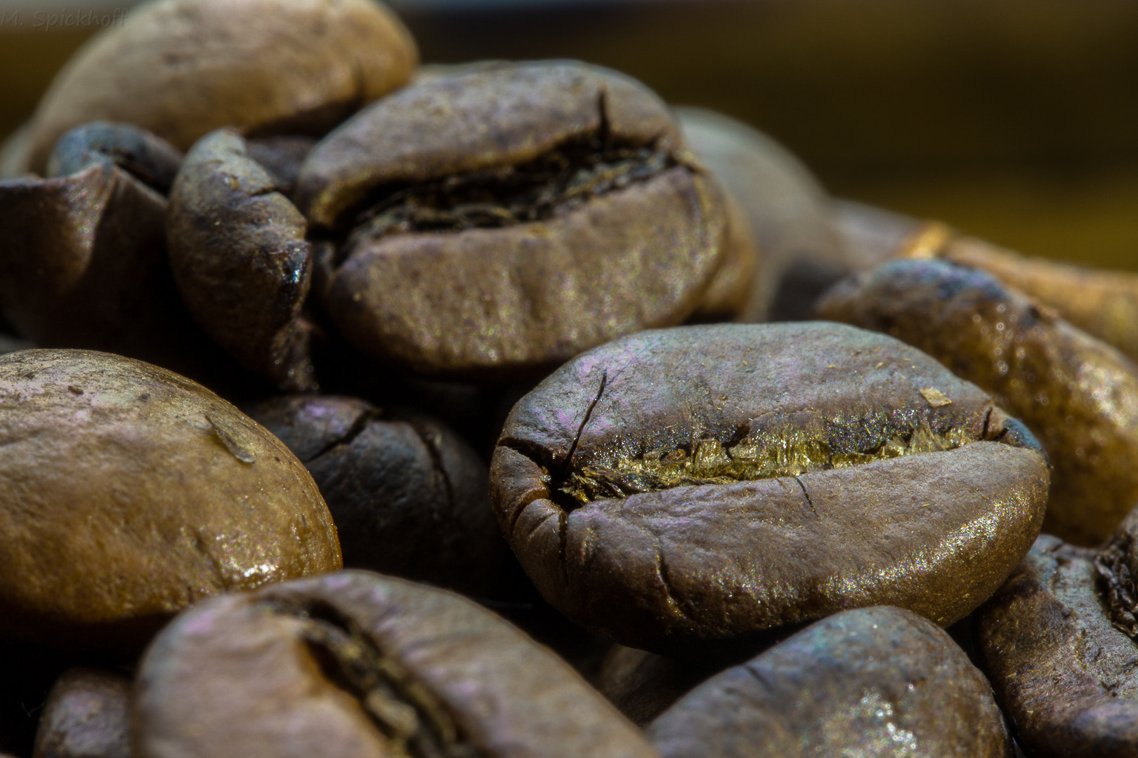 Canon EF-S 60mm F2.8 Macro USM sample photo. Coffee beans photography