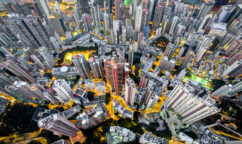 Urban Jungle #04 by Andy Yeung on 500px.com