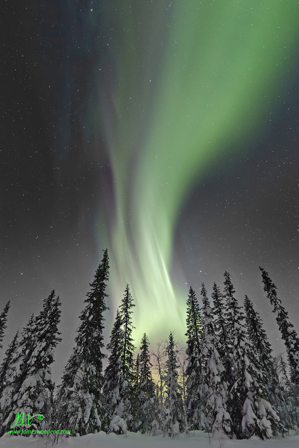 Canon EF 14mm F2.8L II USM sample photo. Taiga forest &amp; aurora photography