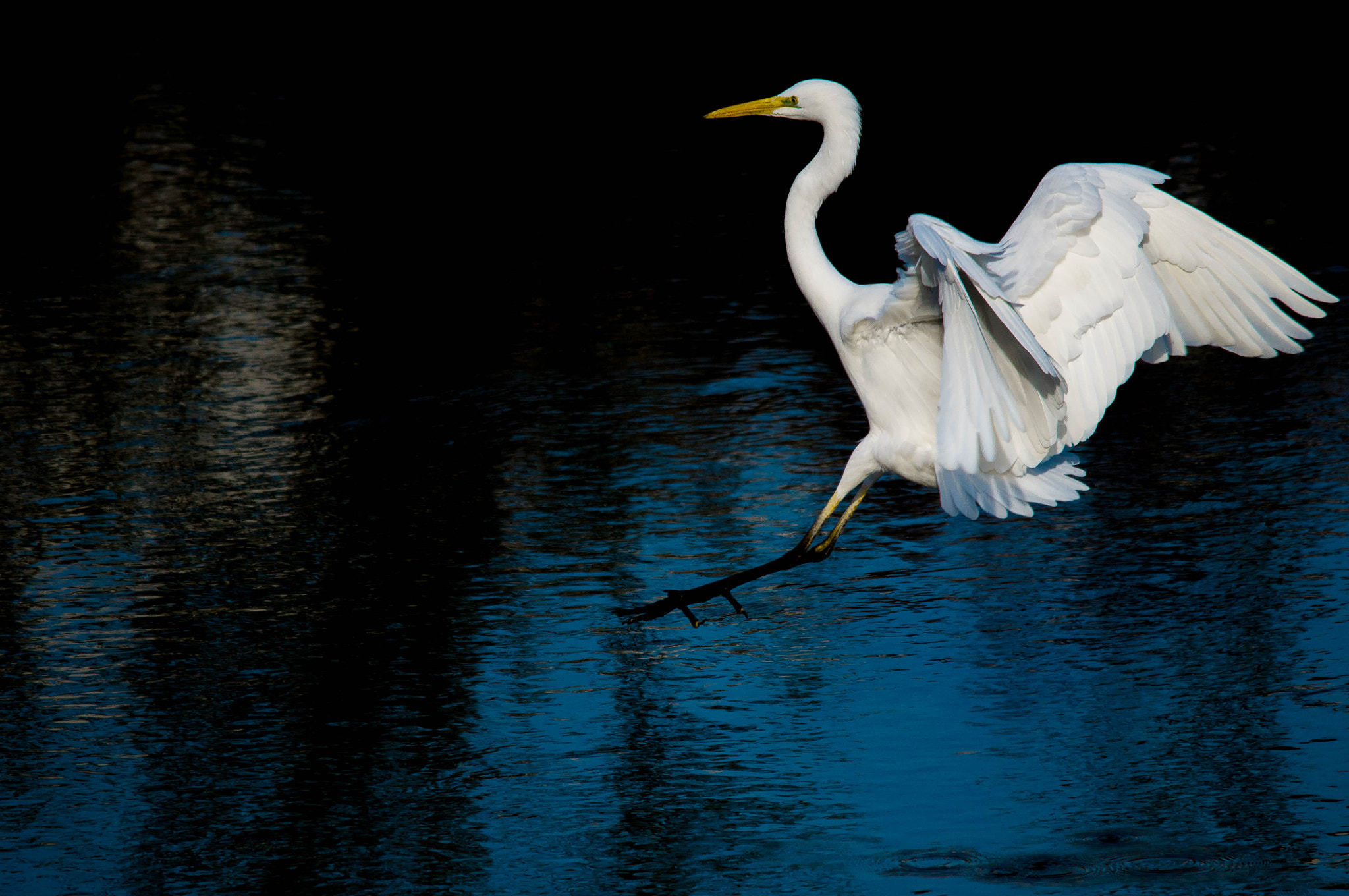 Sigma 150-500mm F5-6.3 DG OS HSM sample photo. 2016-02-12_wil_096808-2.jpg photography