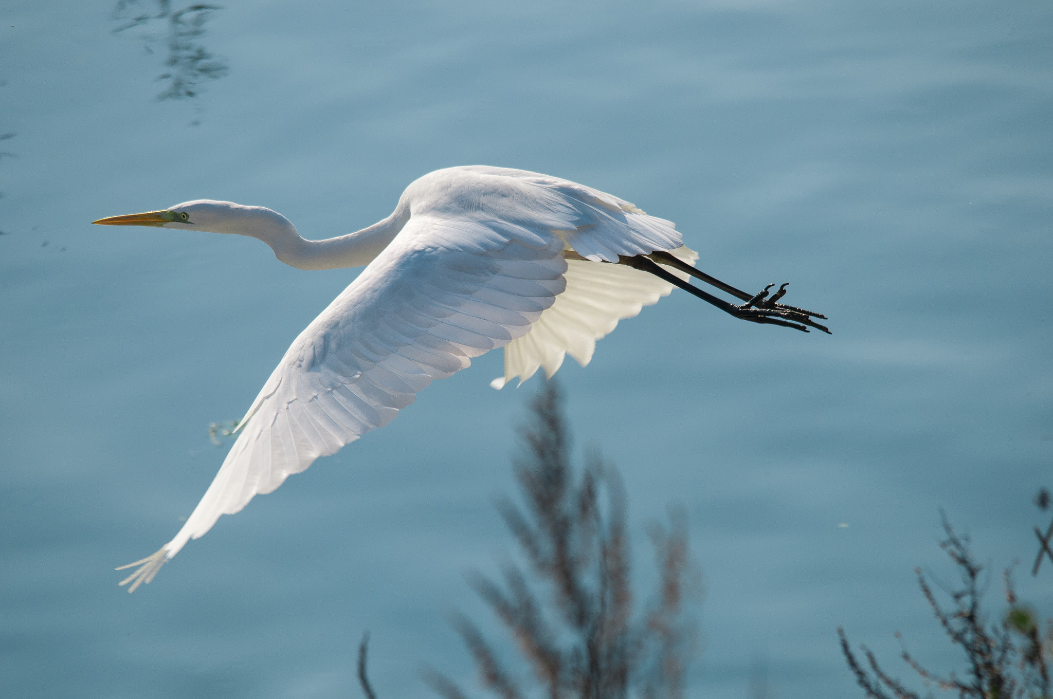Sigma 150-500mm F5-6.3 DG OS HSM sample photo. 2016-02-03_wil_109319-2-2.jpg photography