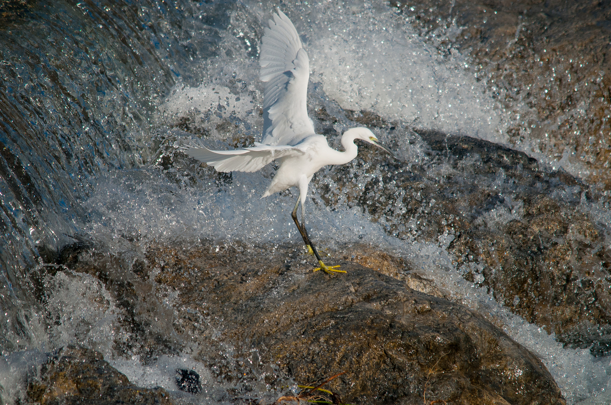 Sigma 150-500mm F5-6.3 DG OS HSM sample photo. 2016-01-18_wil_062867-2.jpg photography