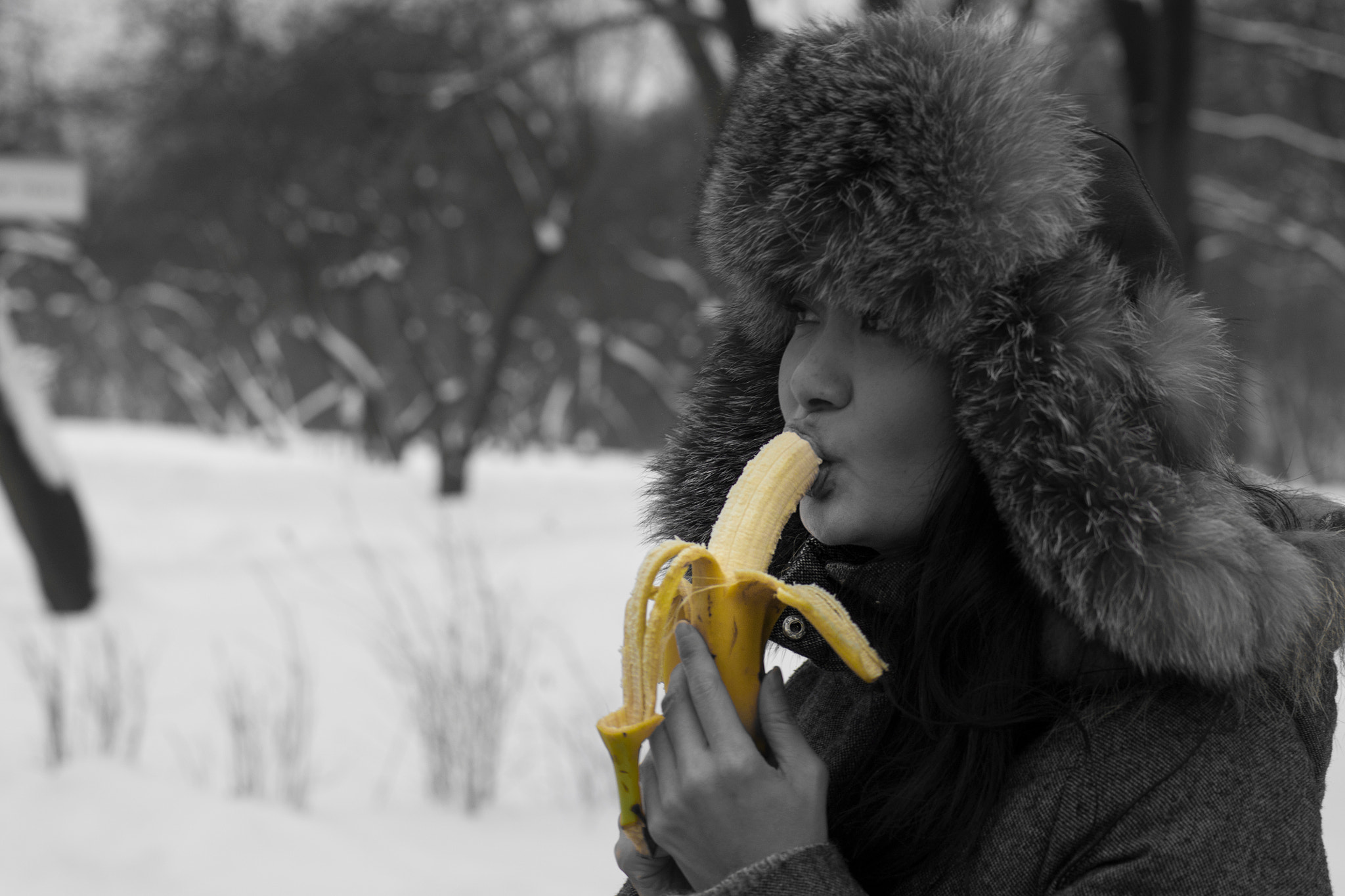 Sony Alpha DSLR-A500 + Sony 50mm F1.4 sample photo. Banana photography