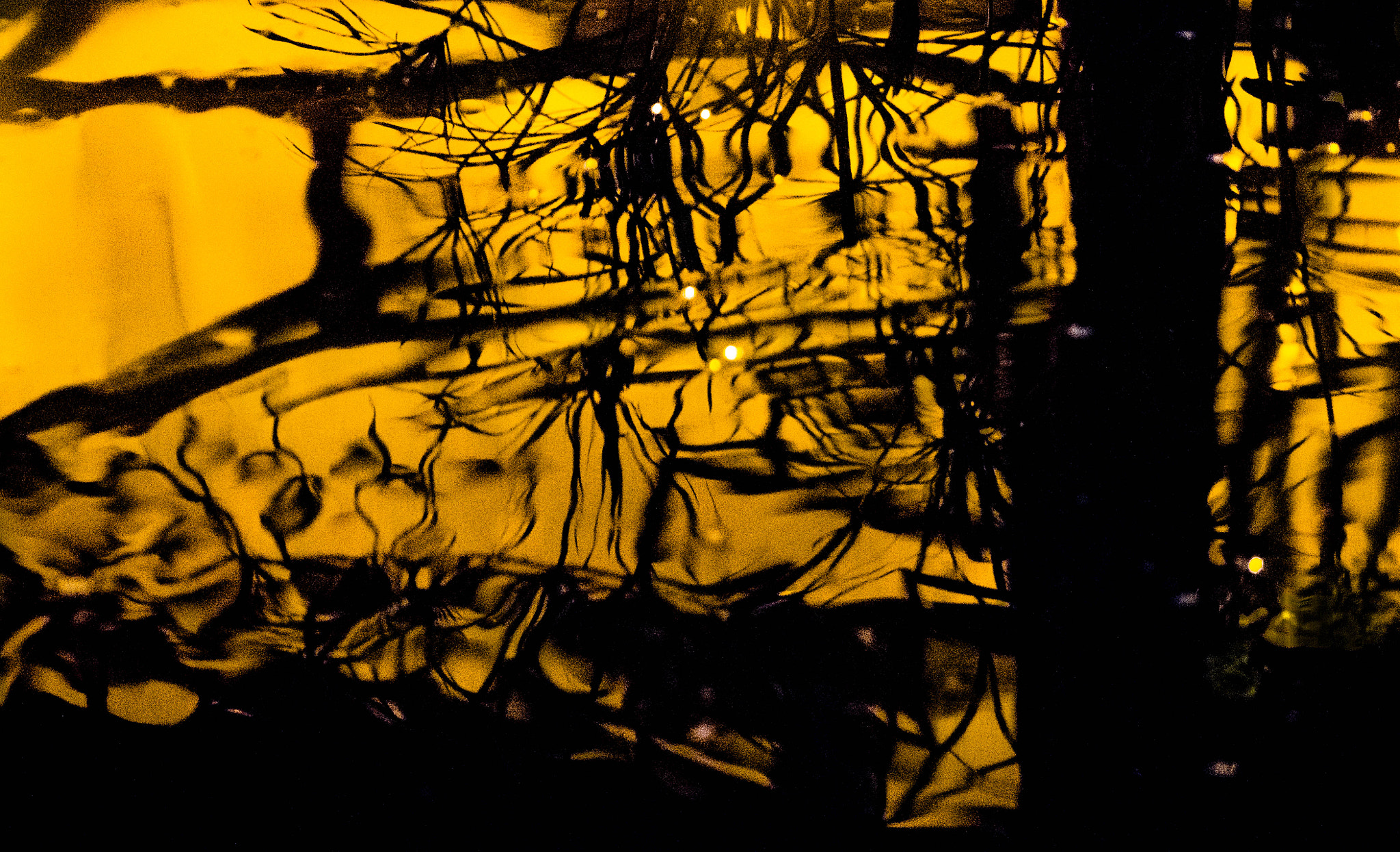 Panasonic Lumix DMC-GM1 sample photo. Chinese reflections photography