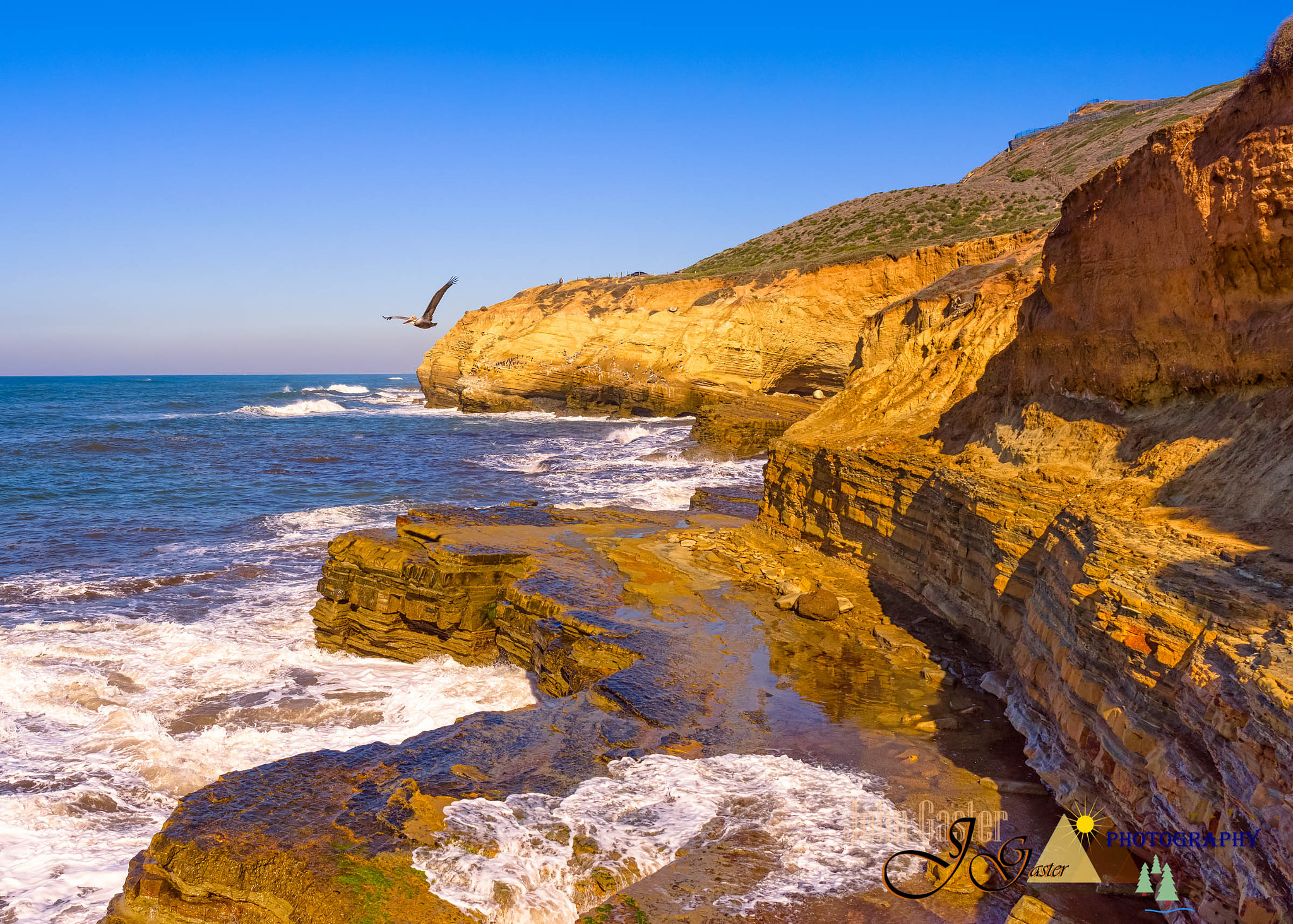 Sony a7R + ZEISS Batis 25mm F2 sample photo. Pelican bluff photography