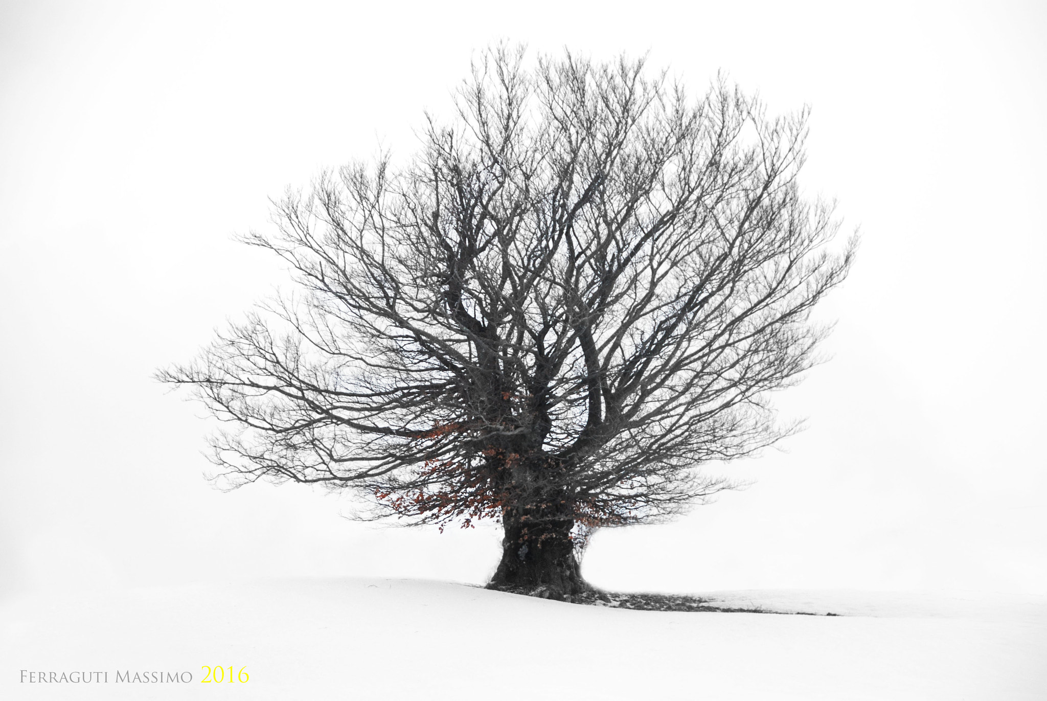 18,0-200,0 mm f/3,5-5,6 sample photo. ... photography