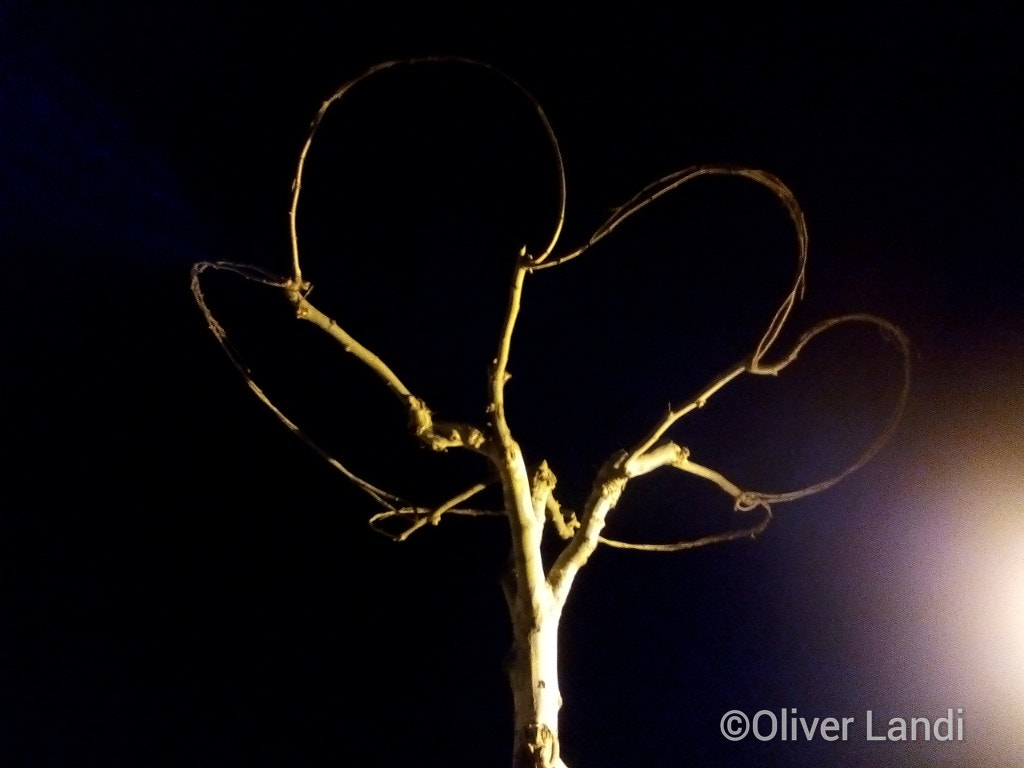 HUAWEI G730-U10 sample photo. Human art in nature photography