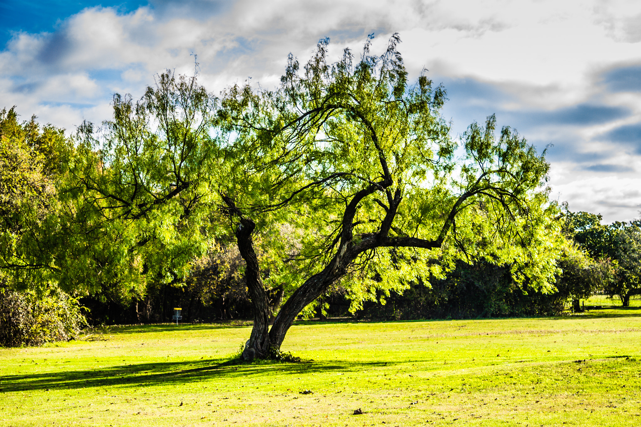 Canon EF-S 17-85mm F4-5.6 IS USM sample photo. Beedo photography