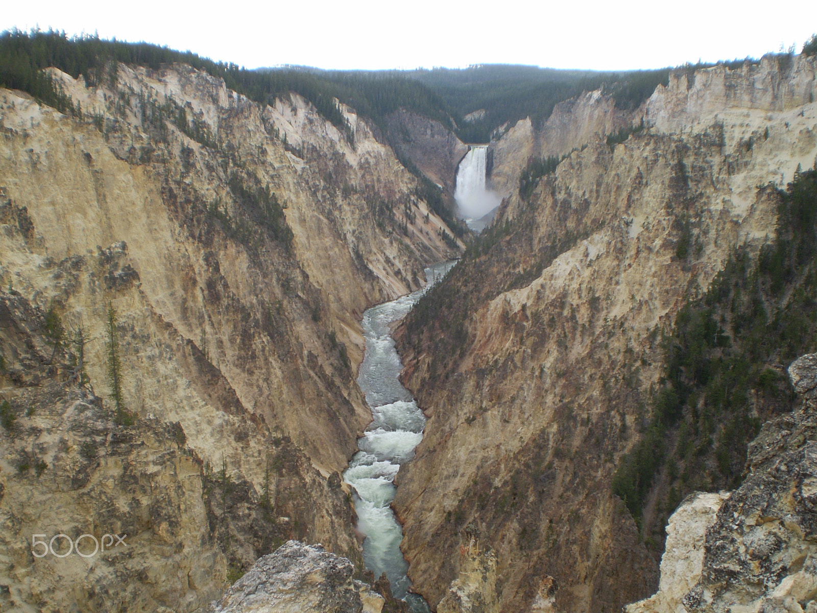 Olympus FE210,X775 sample photo. Yellowstone photography