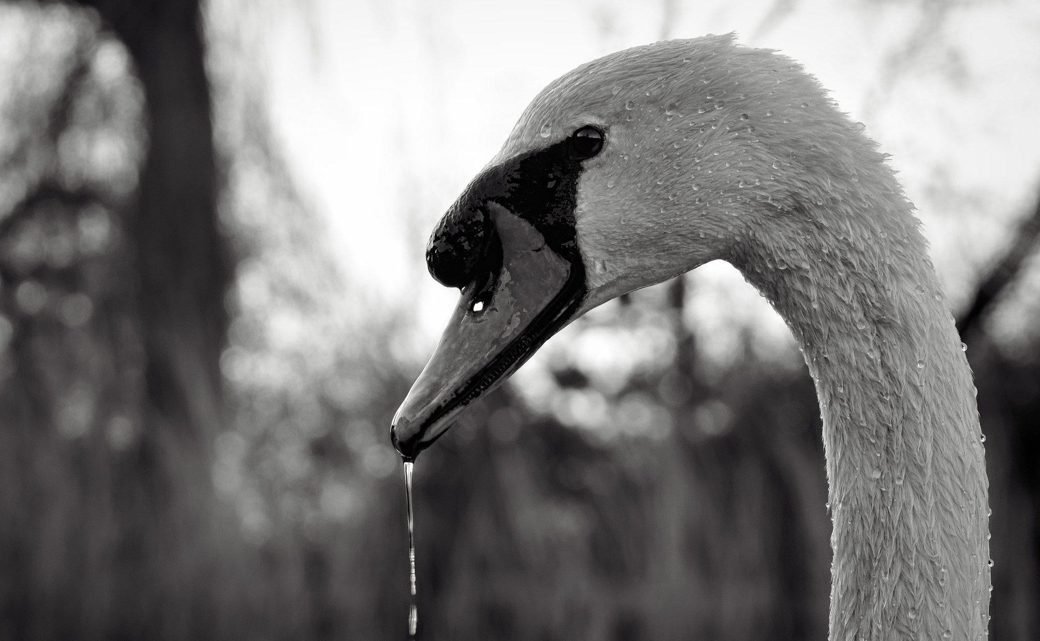 Sony E 18-200mm F3.5-6.3 OSS LE sample photo. Untouchable photography
