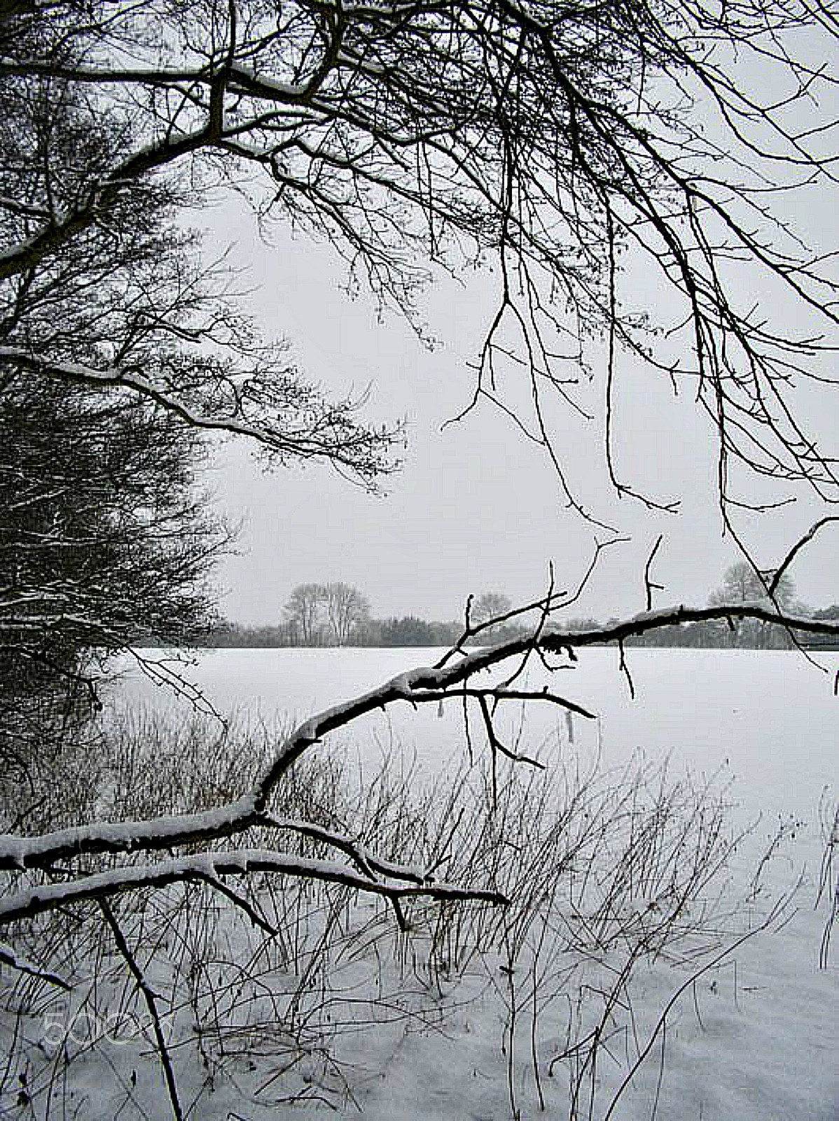 Pentax Optio E60 sample photo. Ethereal iii photography