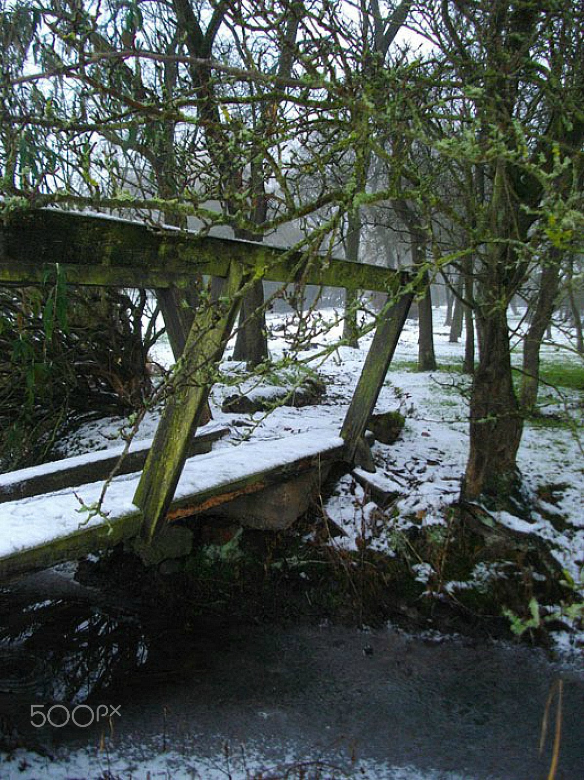 Pentax Optio E60 sample photo. The rickety bridge over the brook photography