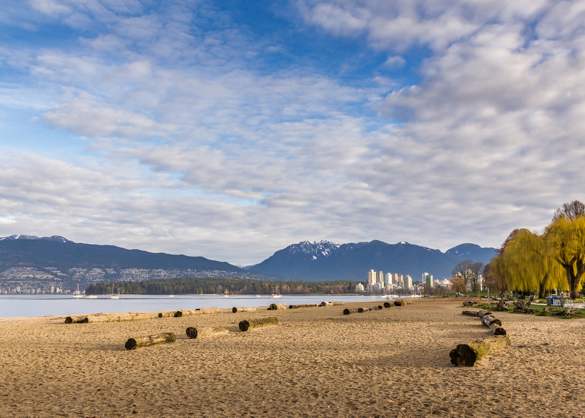 Canon EOS 550D (EOS Rebel T2i / EOS Kiss X4) + Canon EF-S 10-18mm F4.5–5.6 IS STM sample photo. Kitsilano photography