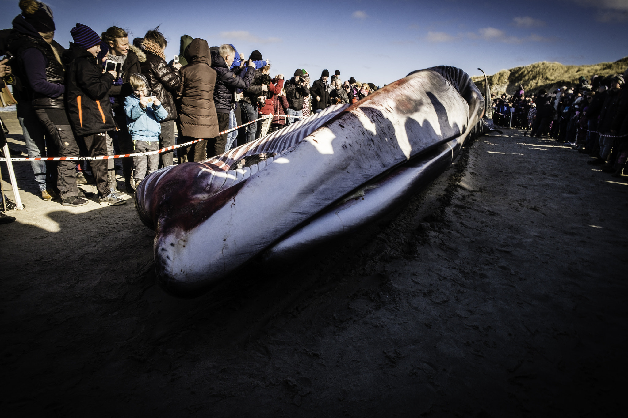 Fujifilm X-Pro1 + ZEISS Touit 12mm F2.8 sample photo. Pts photography