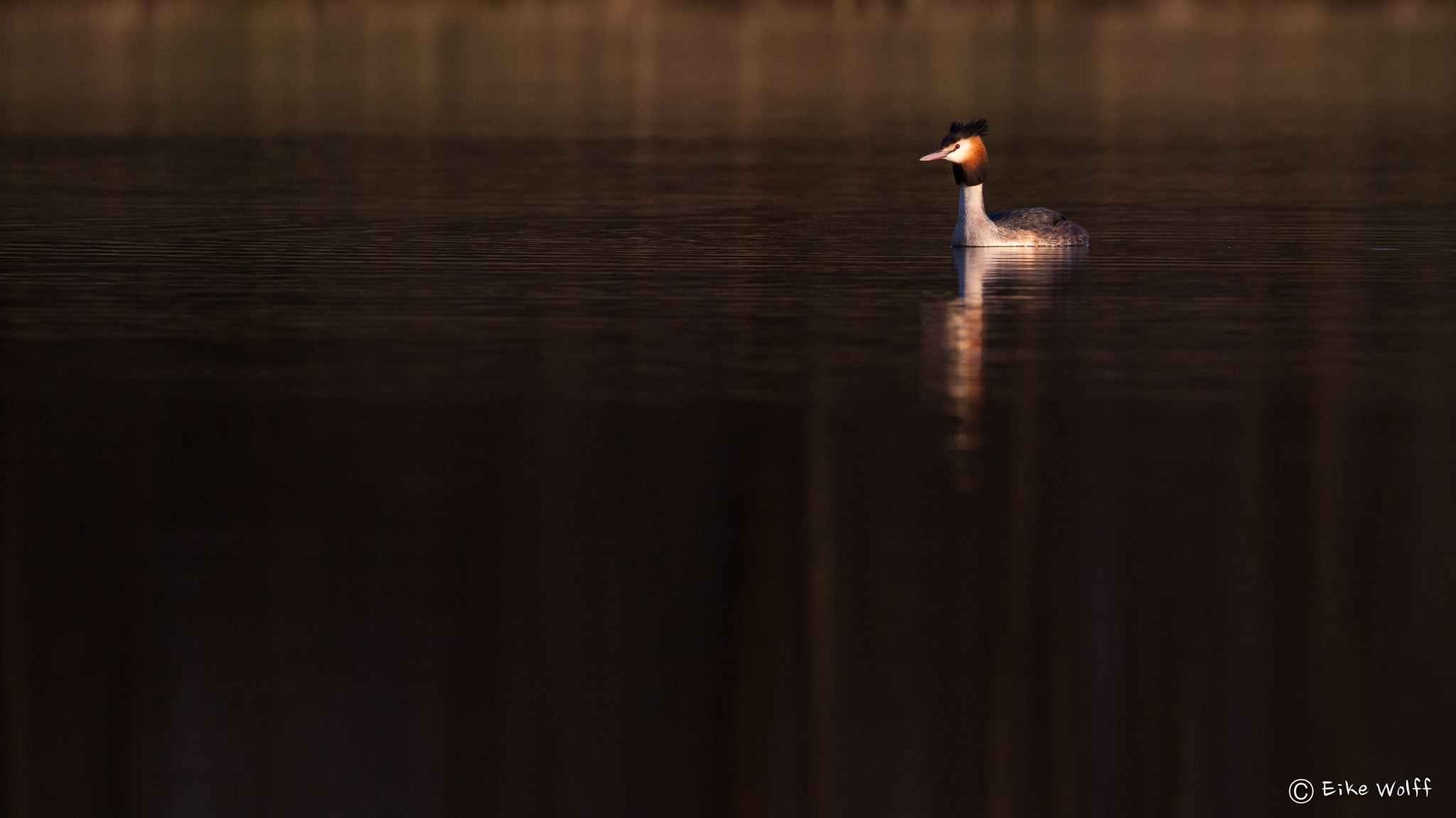 Canon EF 100-400mm F4.5-5.6L IS II USM sample photo. In the evening photography