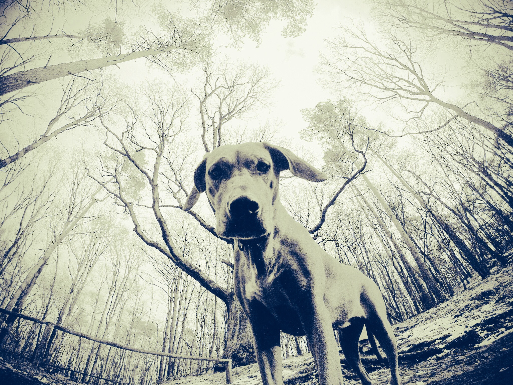 GoPro Hero3-Silver Edition sample photo. Untitled photography