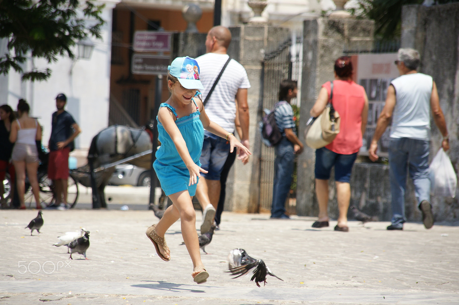 Sony Alpha DSLR-A700 + Sigma 18-200mm F3.5-6.3 DC sample photo. Chasing doves photography