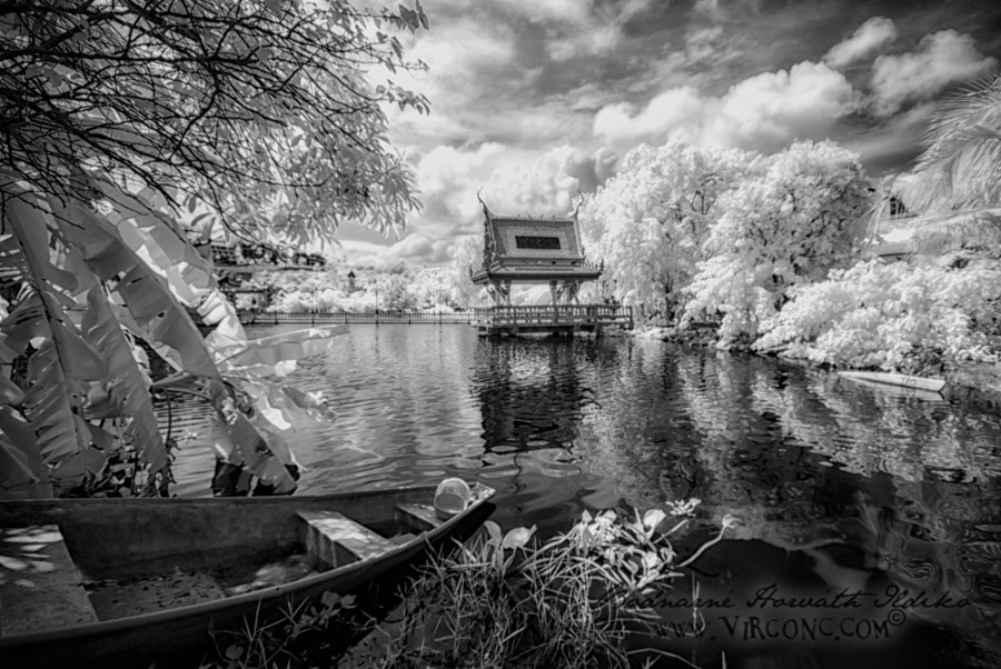 Sigma 10-20mm F4-5.6 EX DC HSM sample photo. Wat plai laem photography