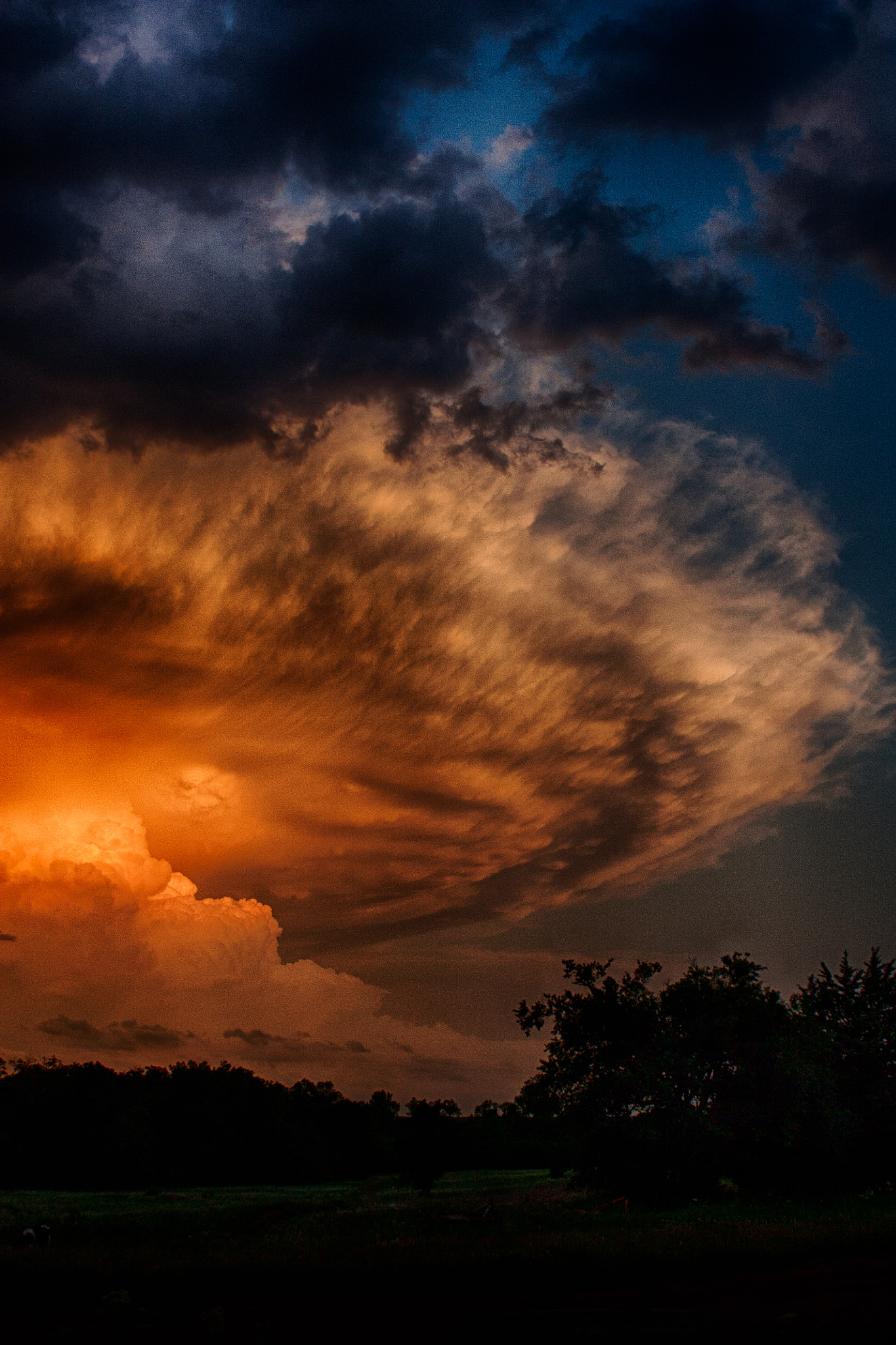 Canon EF 28-80mm f/3.5-5.6 sample photo. () photography