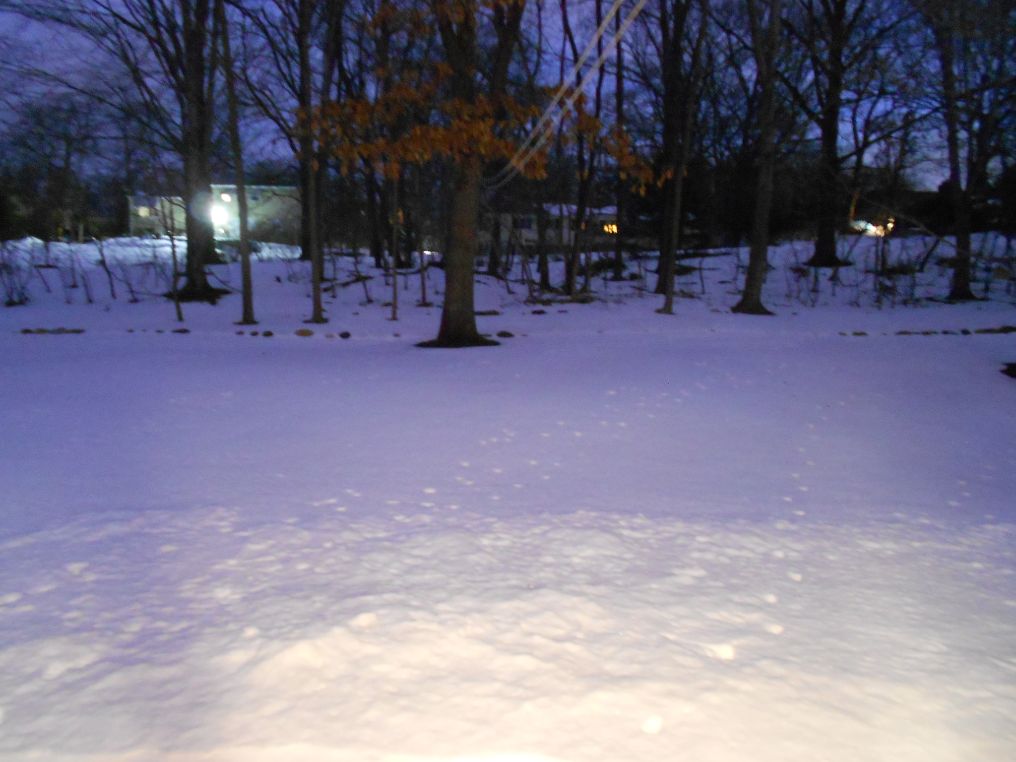 Nikon Coolpix S4100 sample photo. Late night snowfall photography