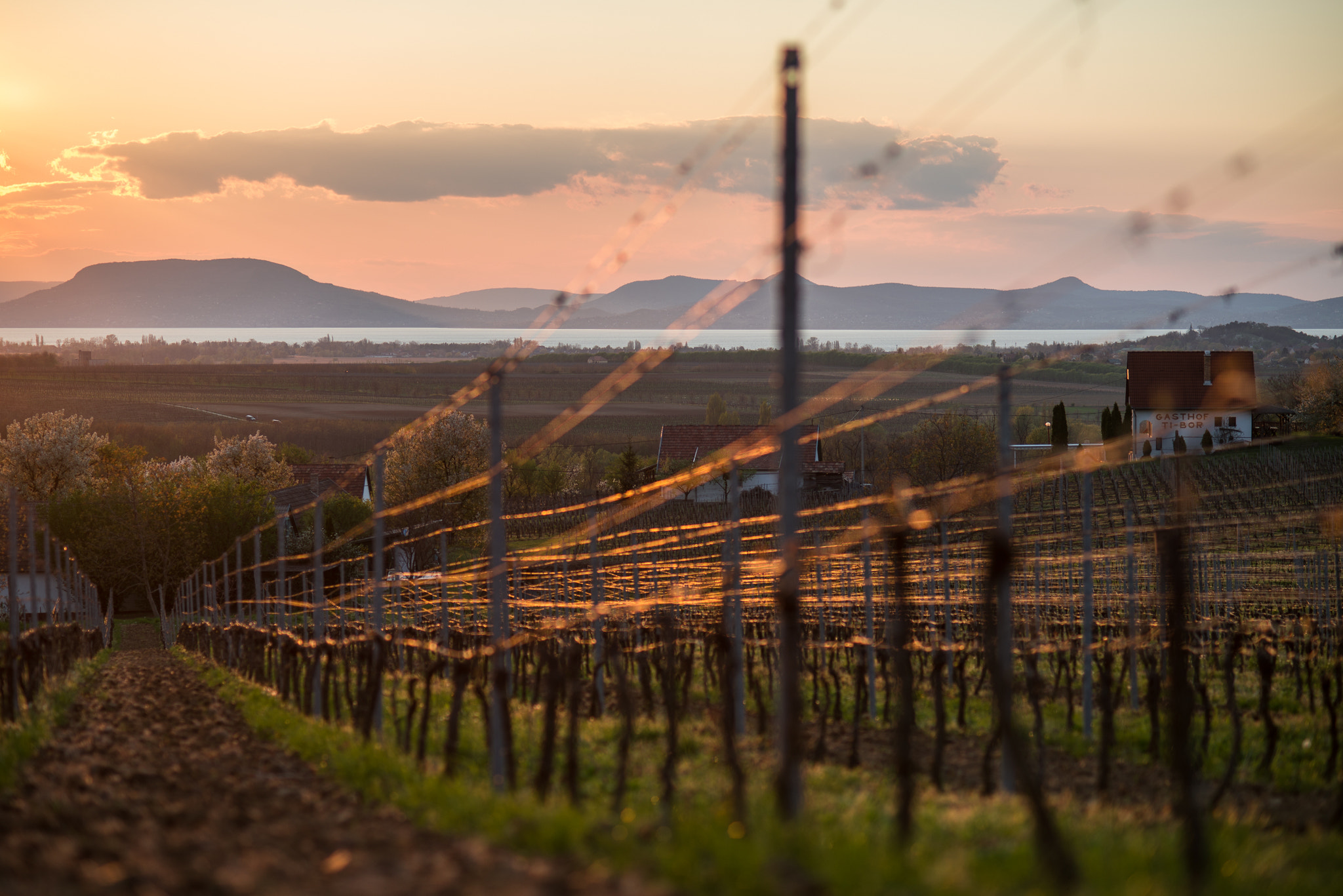 Nikon D600 + AF Nikkor 85mm f/1.8 sample photo. Balaton photography