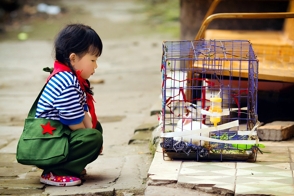 Canon EOS 550D (EOS Rebel T2i / EOS Kiss X4) + Canon EF 135mm F2L USM sample photo. The age of innocence photography