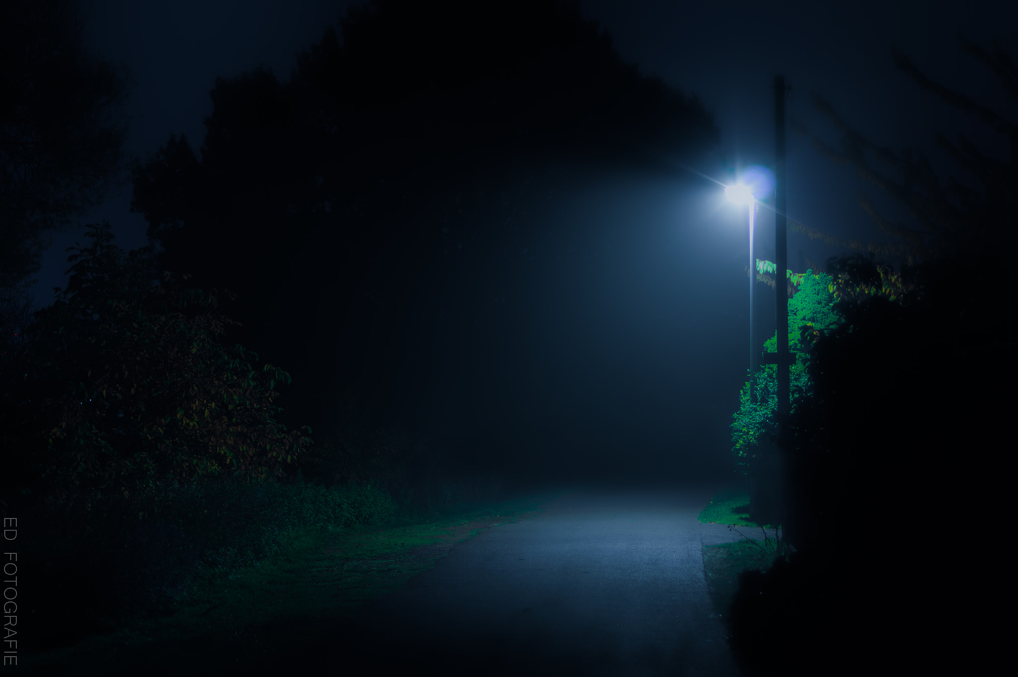 Sony SLT-A58 + 35-70mm F4 sample photo. The dark path photography